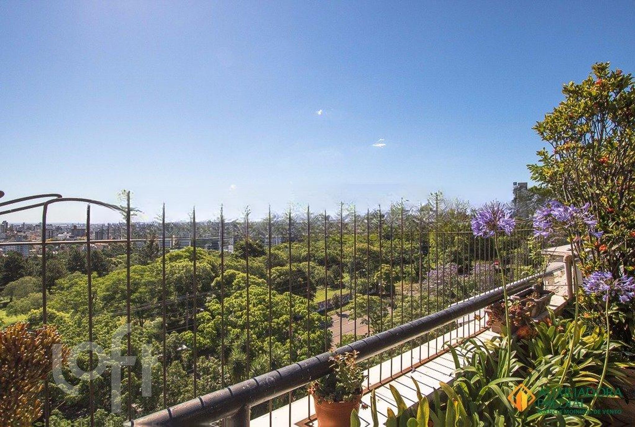 Imagem da propriedade 40