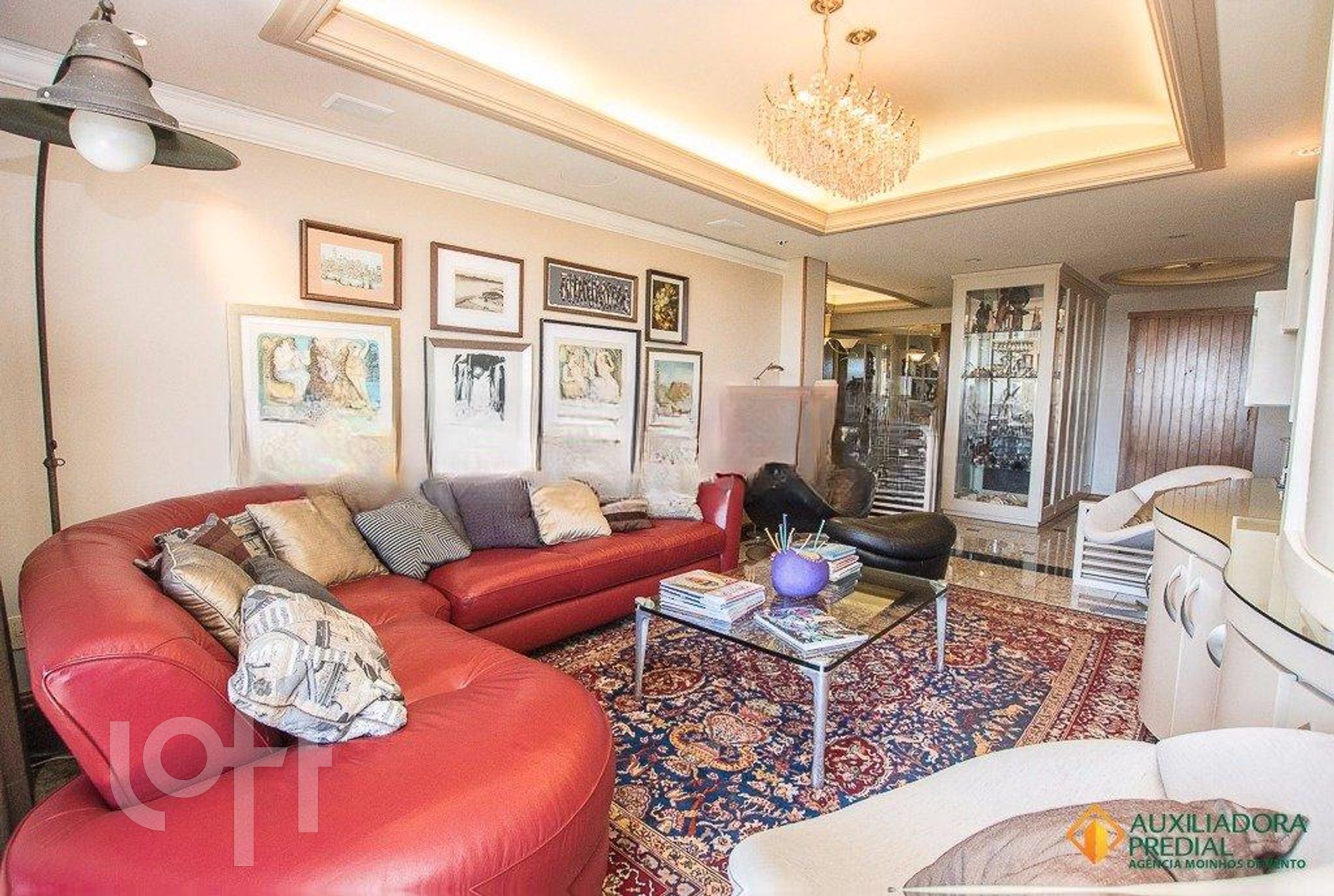 Imagem da propriedade 5