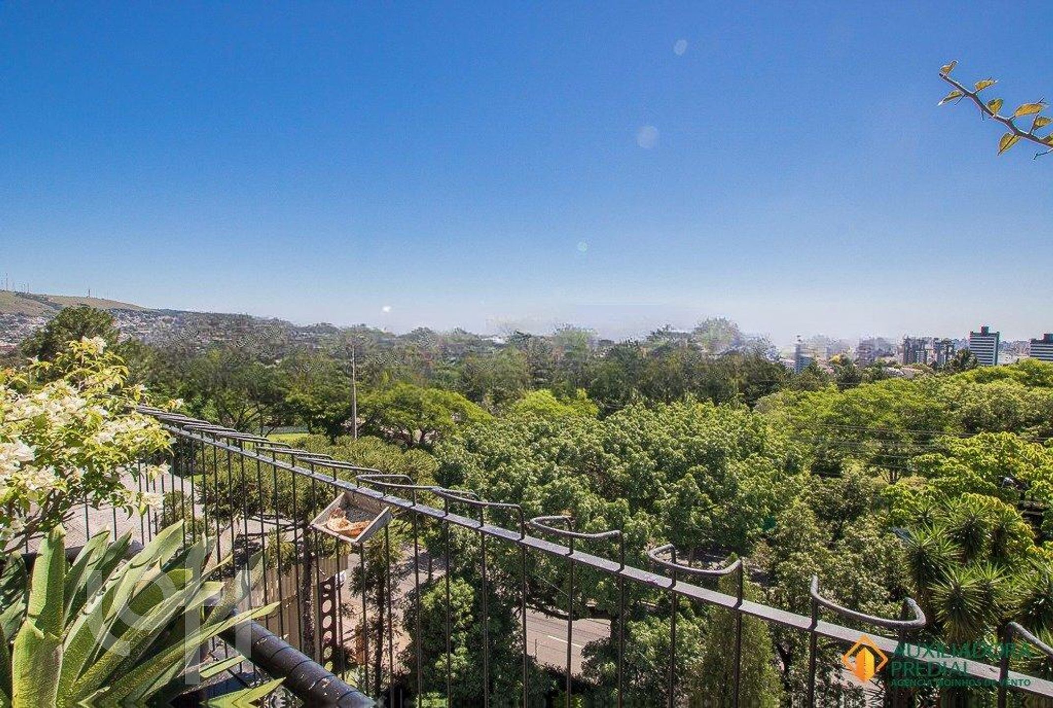 Imagem da propriedade 14