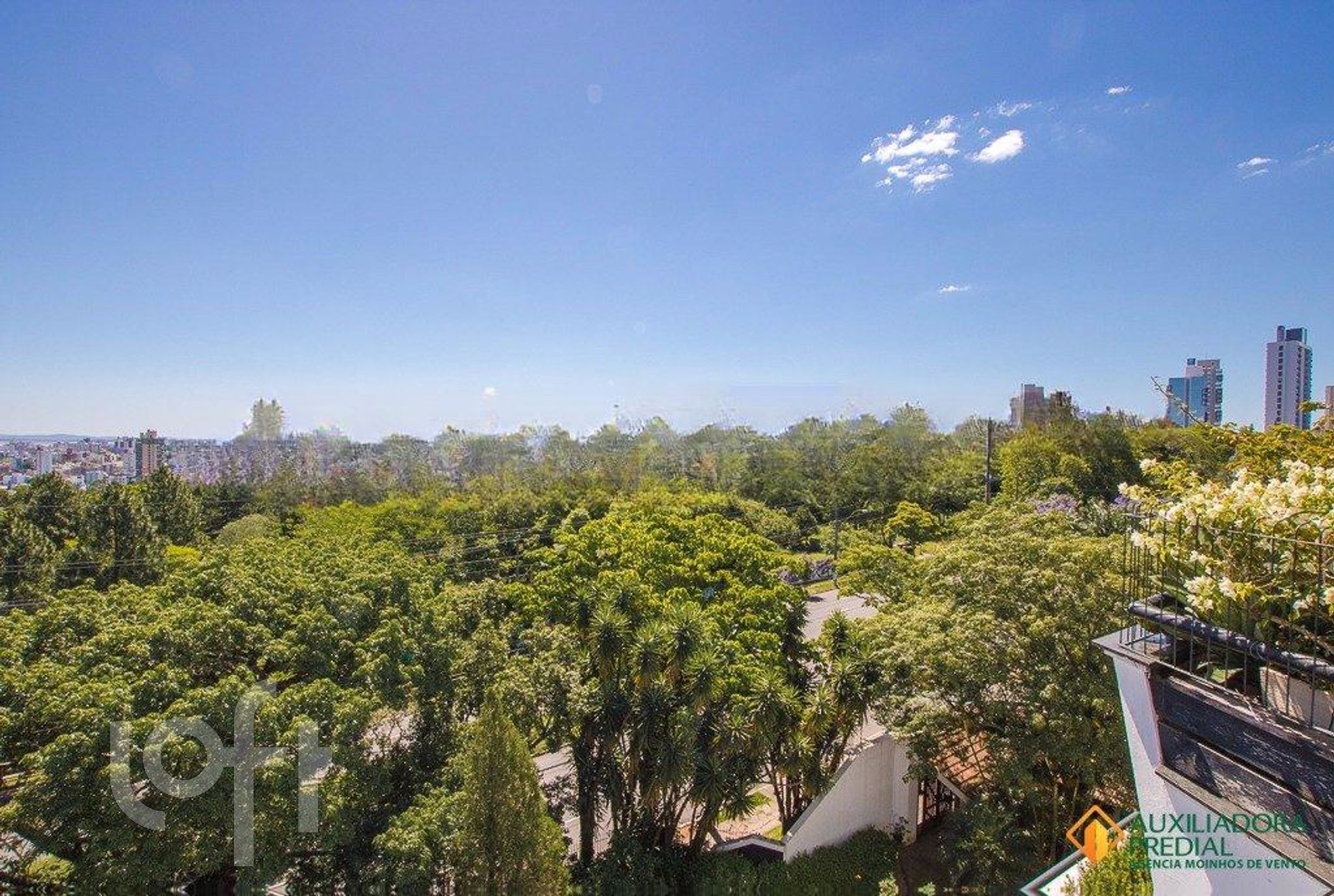 Imagem da propriedade 13