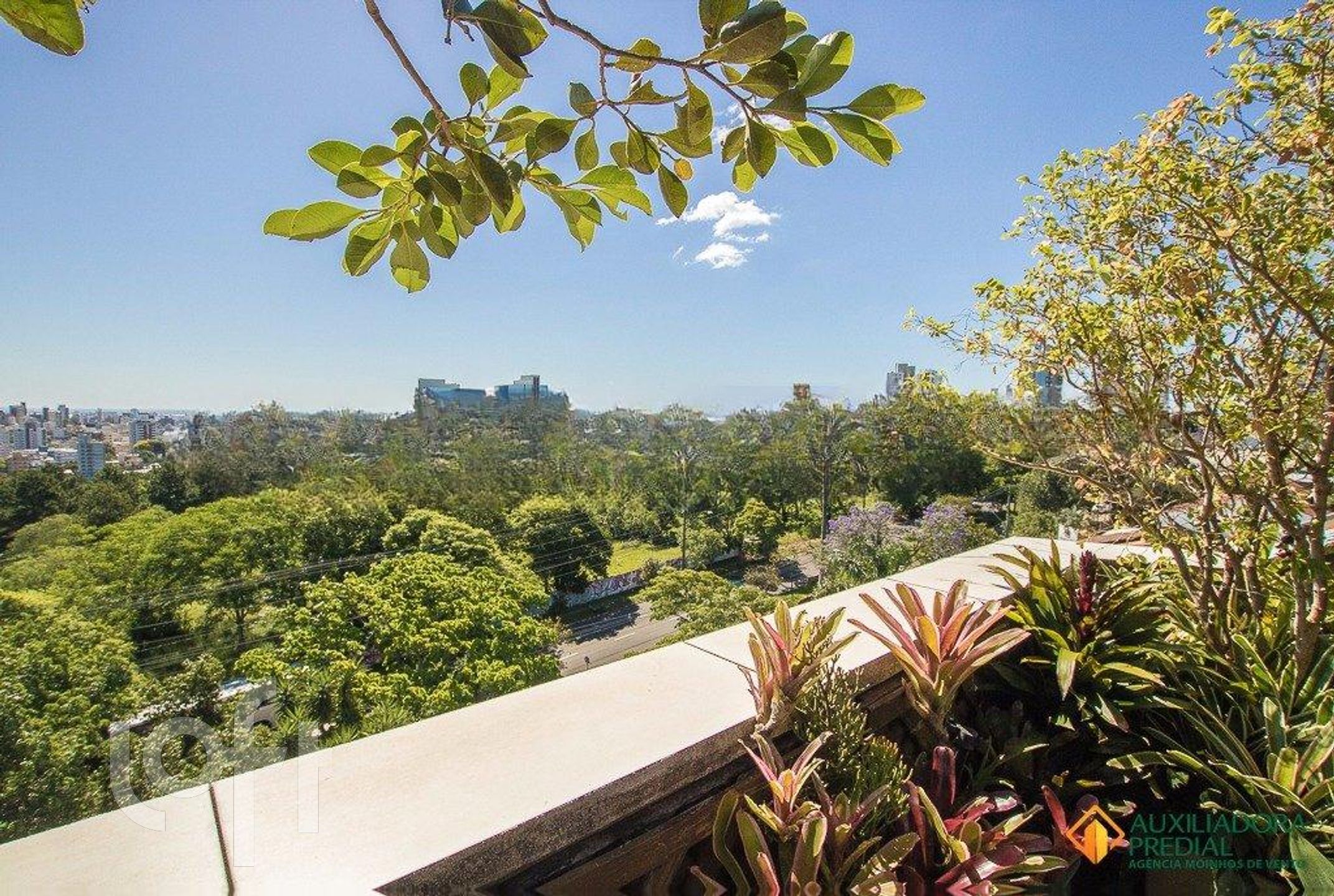 Imagem da propriedade 36