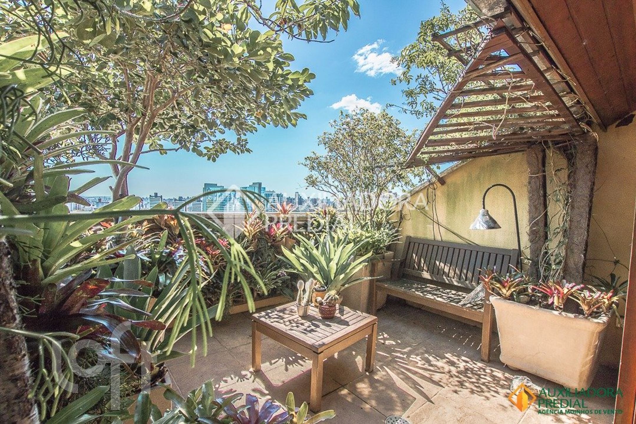 Imagem da propriedade 35