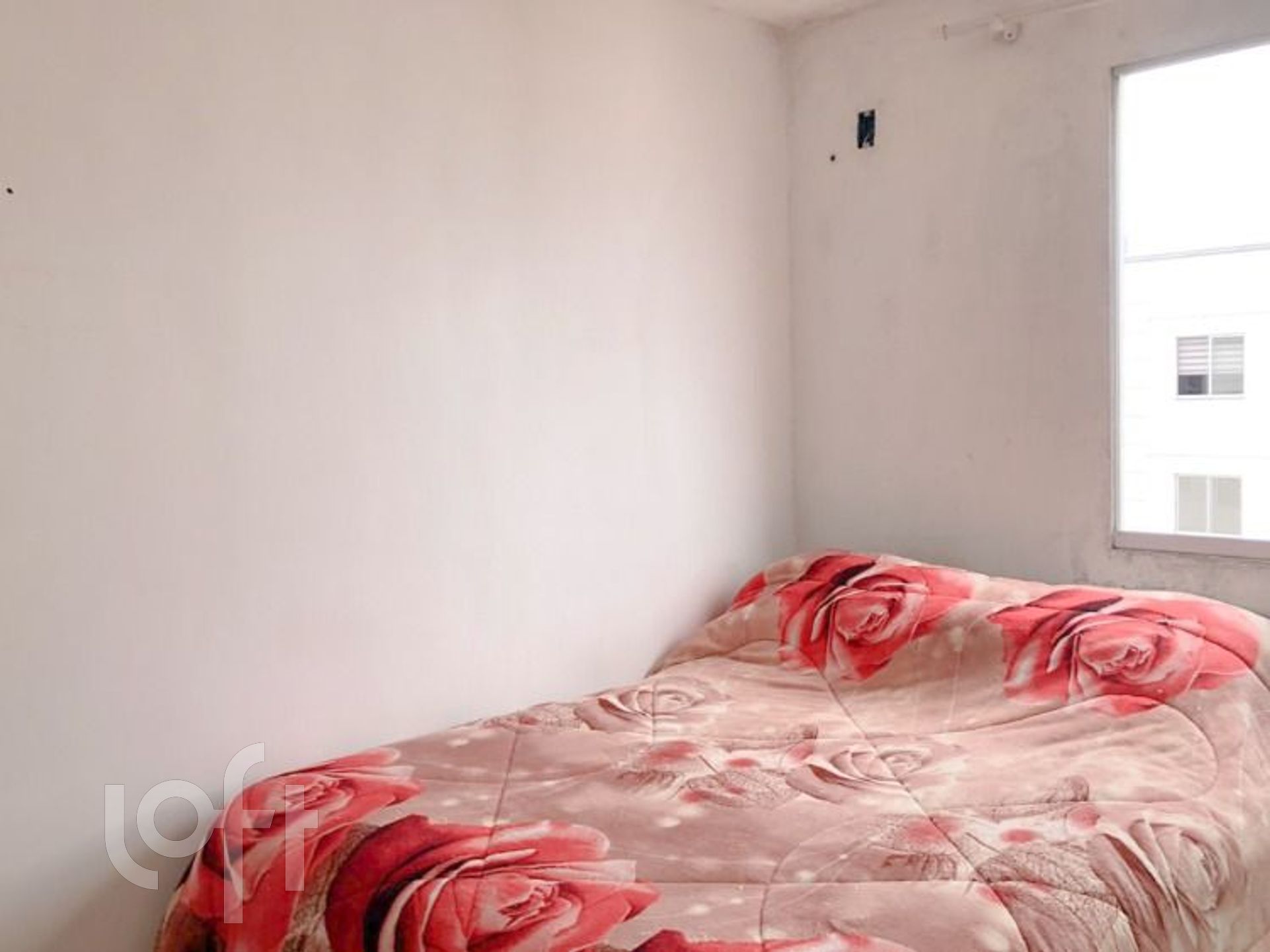 Imagem da propriedade 4