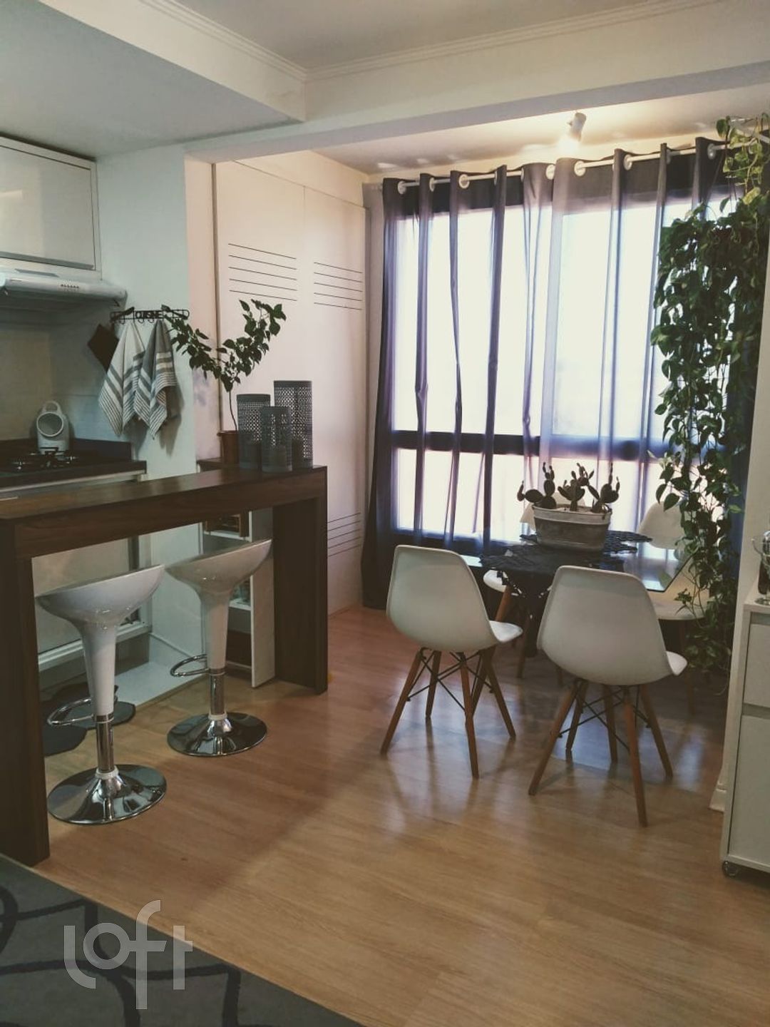 Imagem da propriedade 3