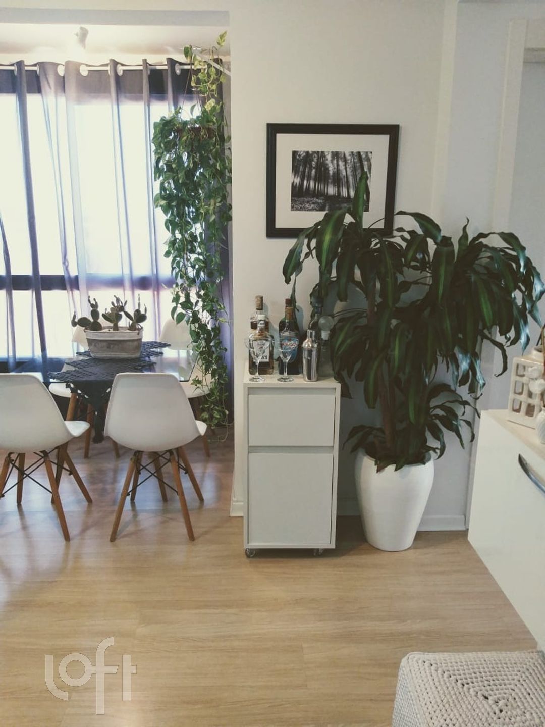 Imagem da propriedade 4