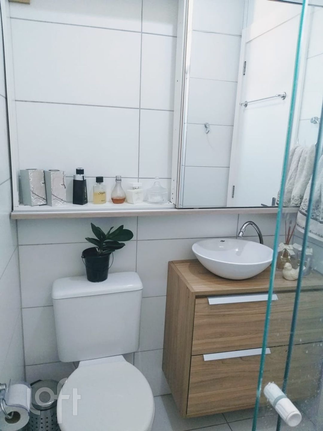 Imagem da propriedade 7