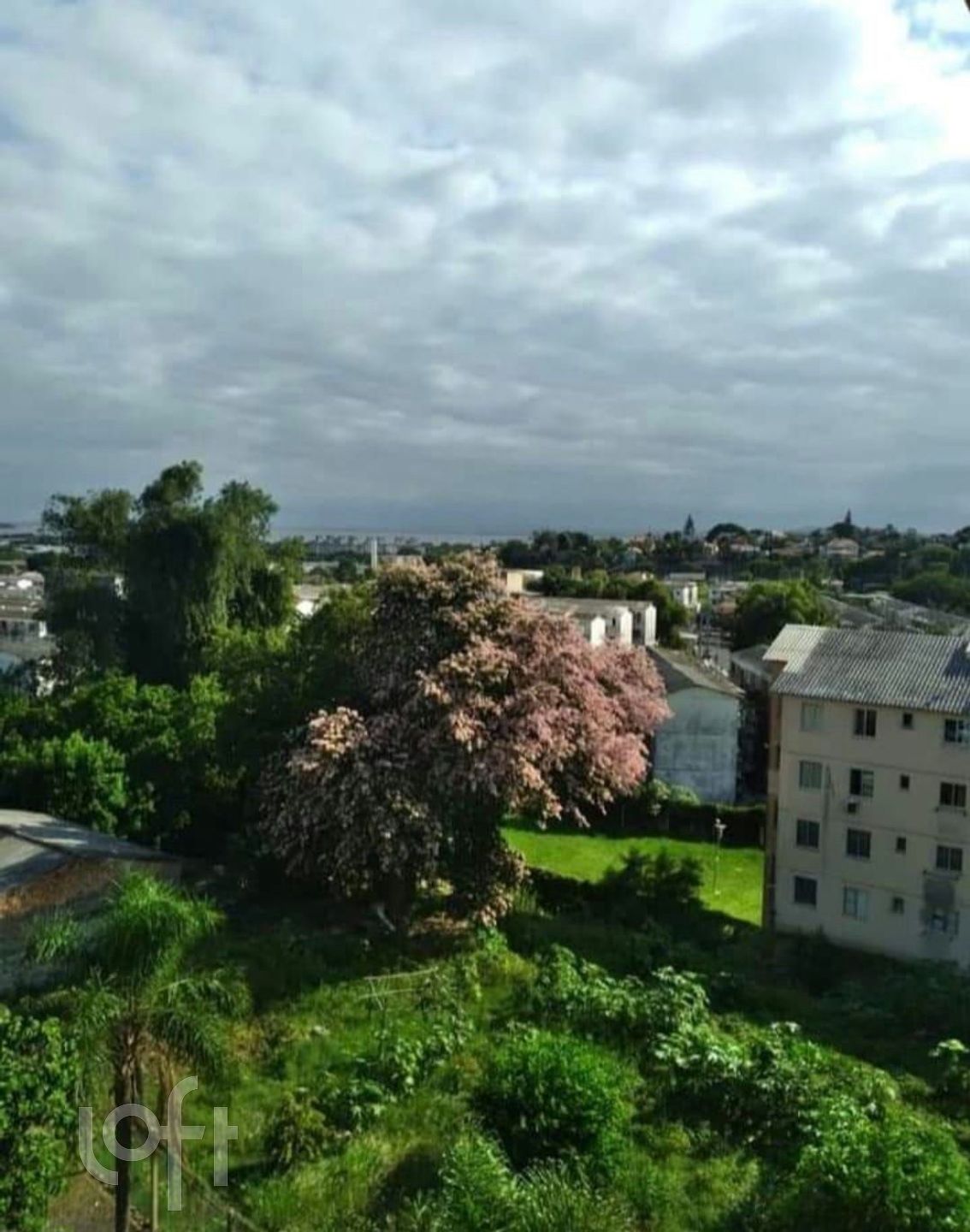 Imagem da propriedade 7