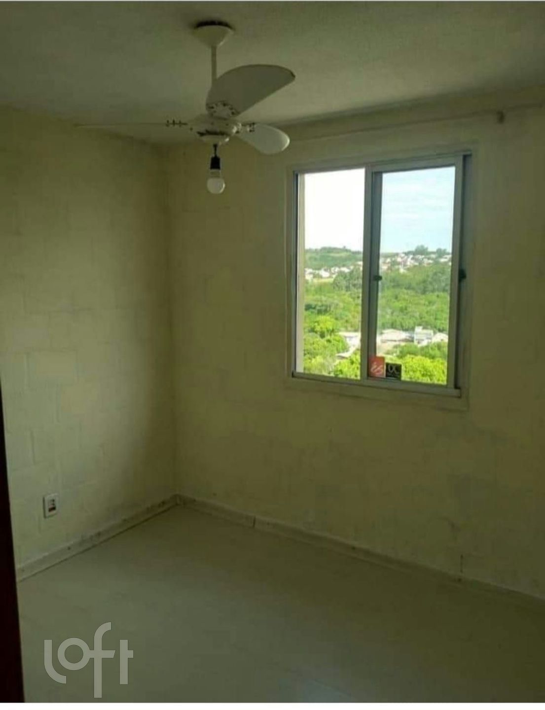 Imagem da propriedade 4