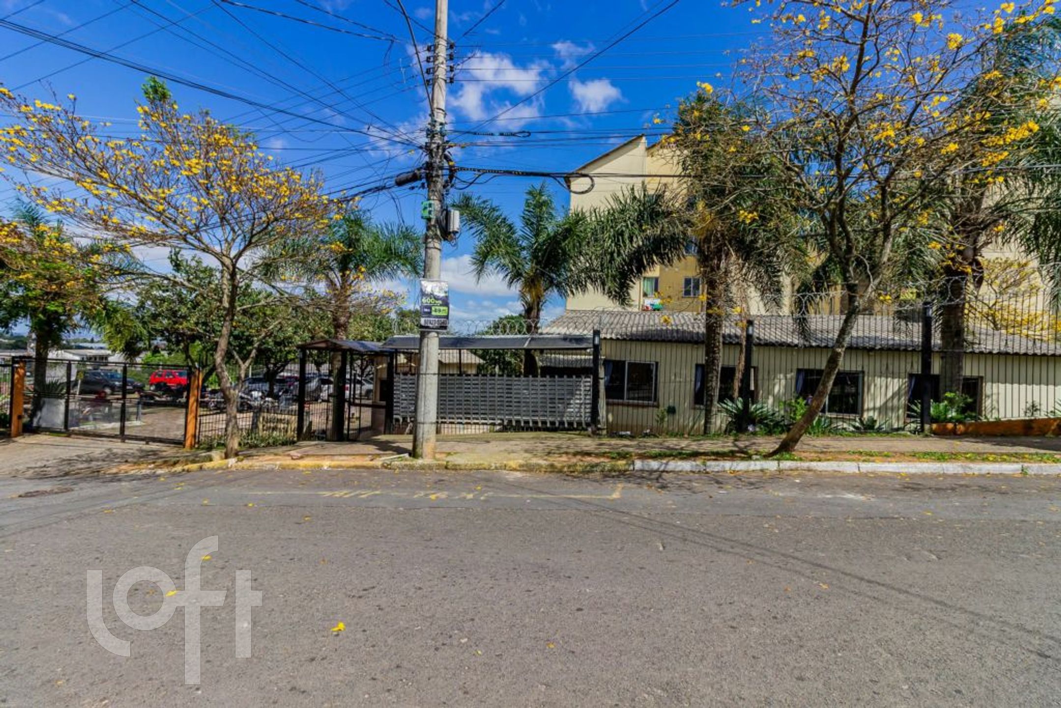 Imagem da propriedade 29