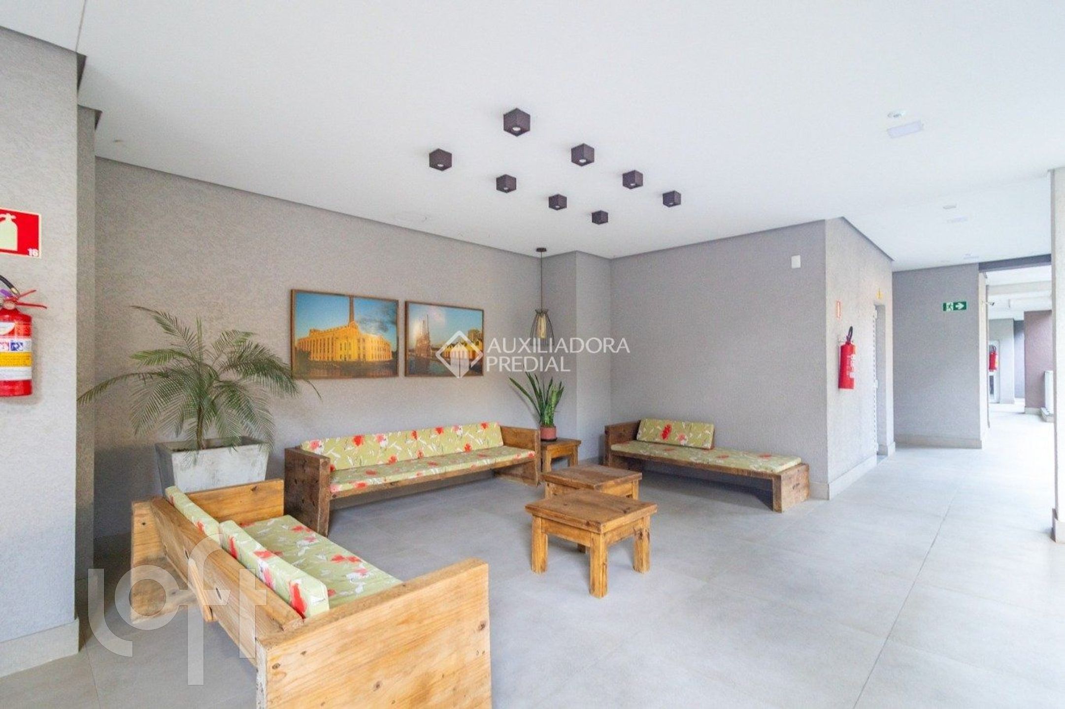 Imagem da propriedade 19