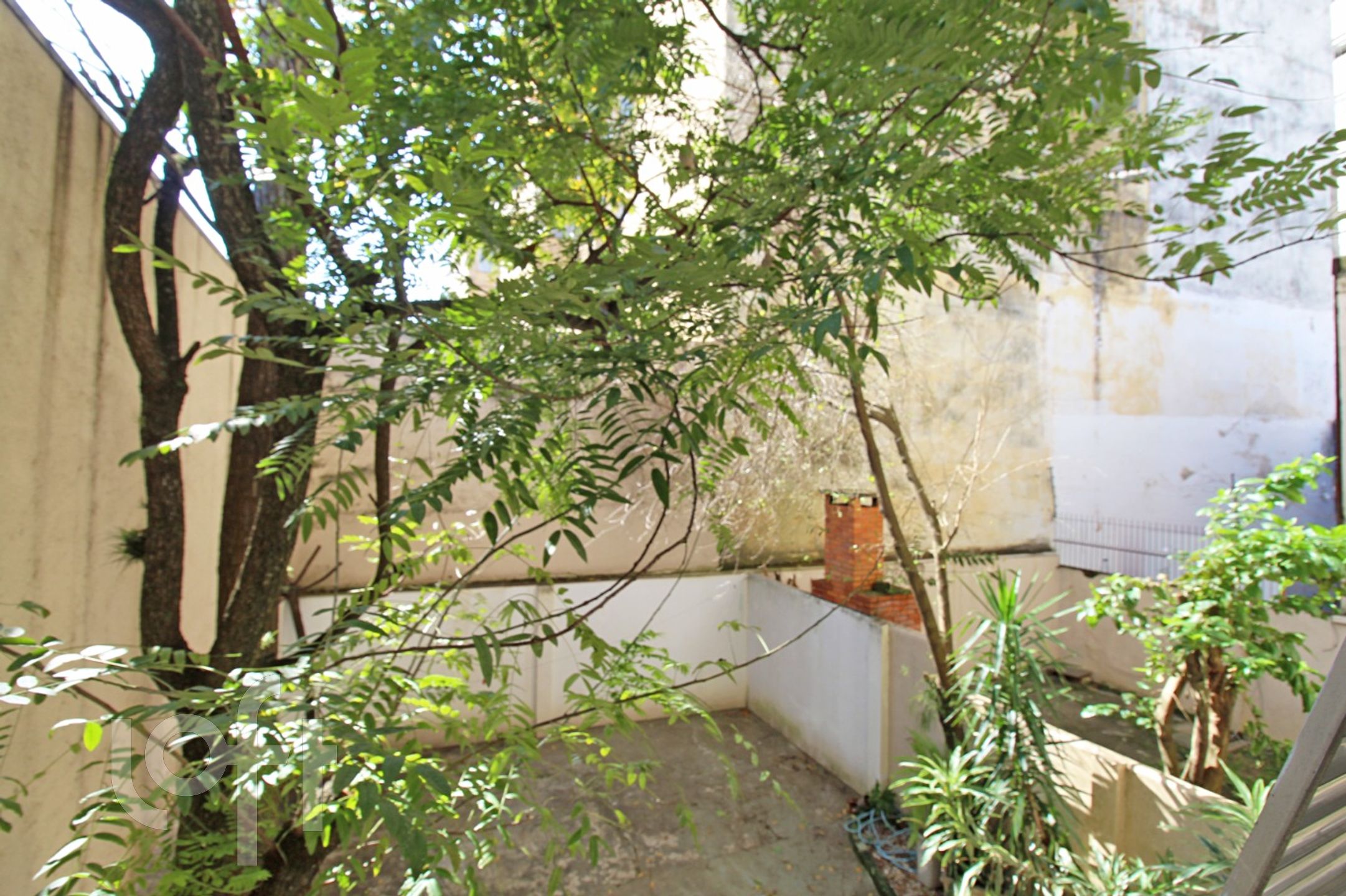 Imagem da propriedade 17