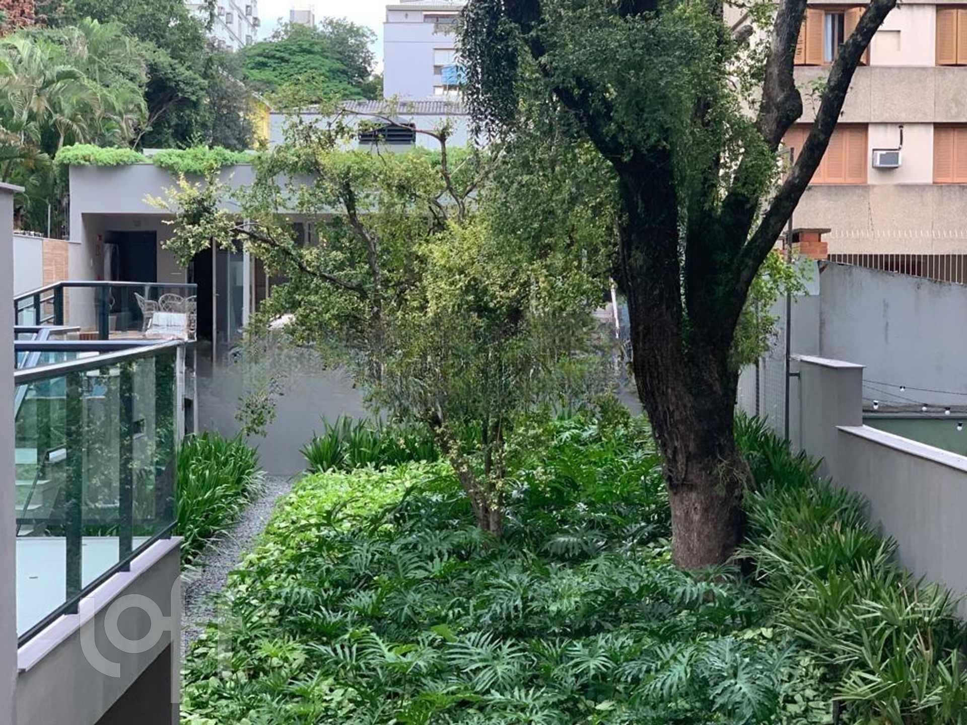 Imagem da propriedade 7