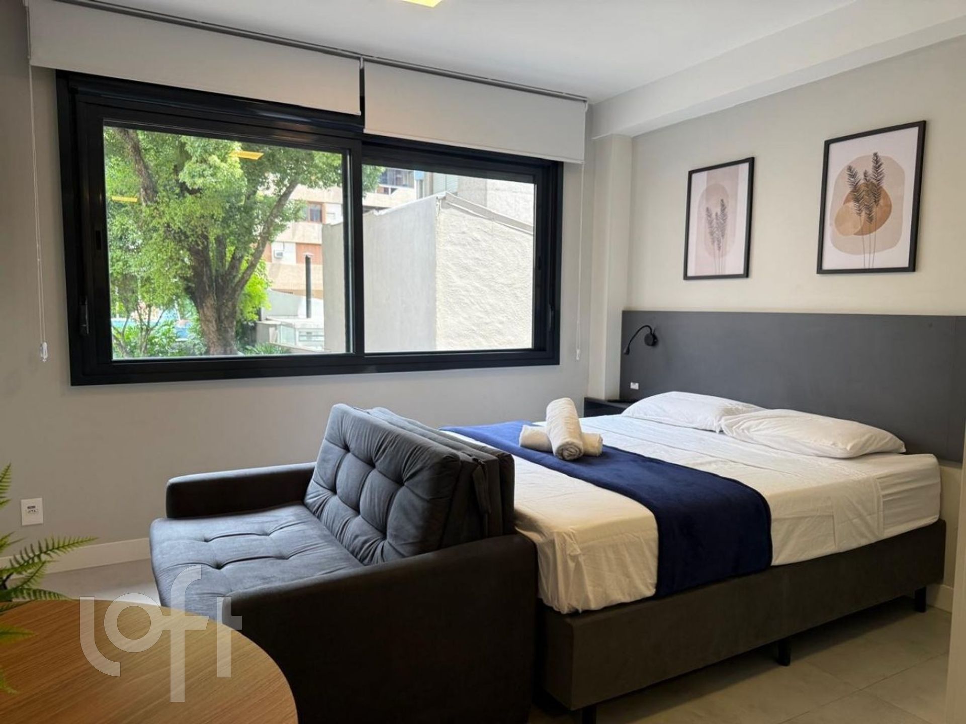 Imagem da propriedade 3