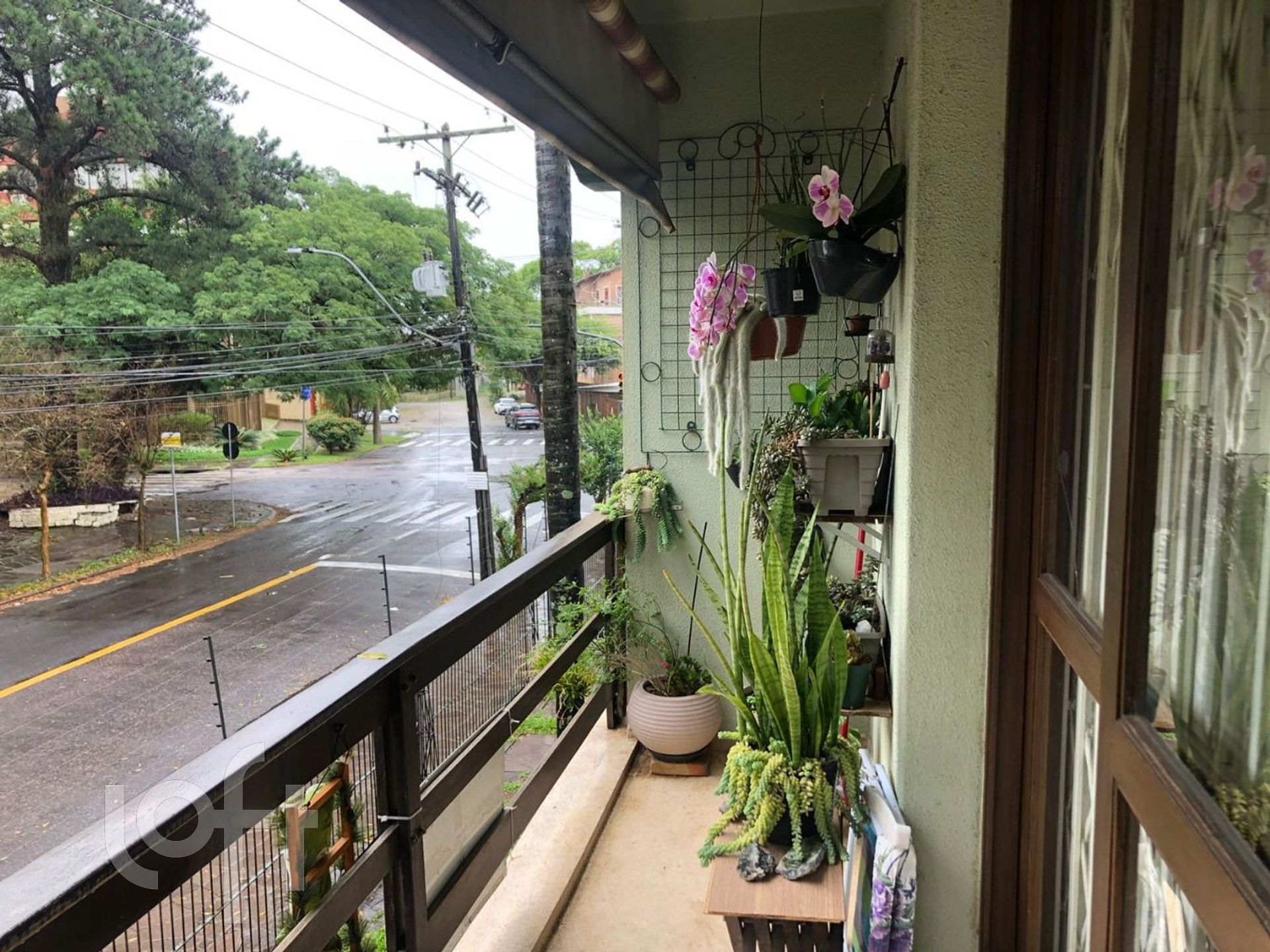 Imagem da propriedade 17