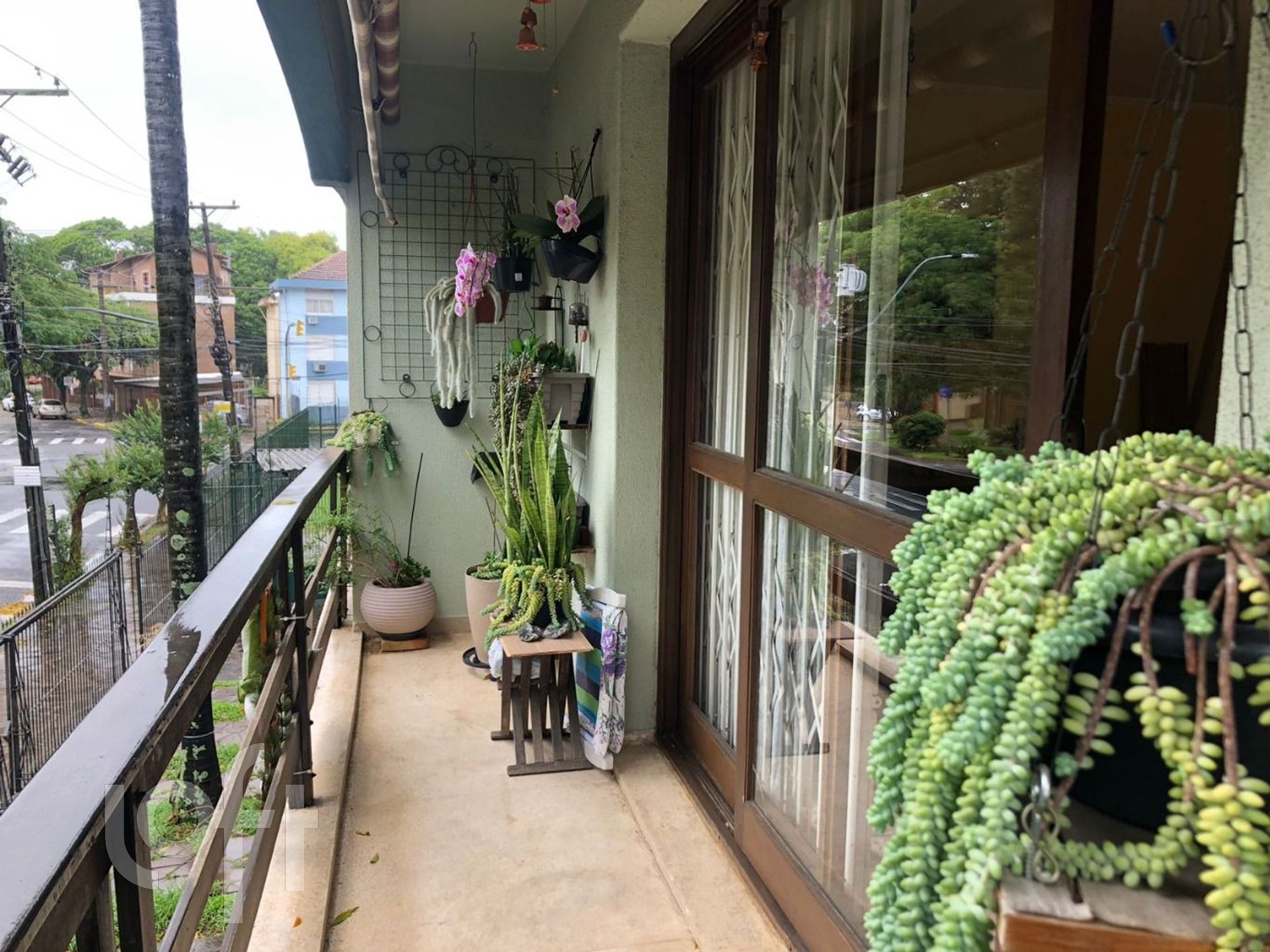 Imagem da propriedade 15