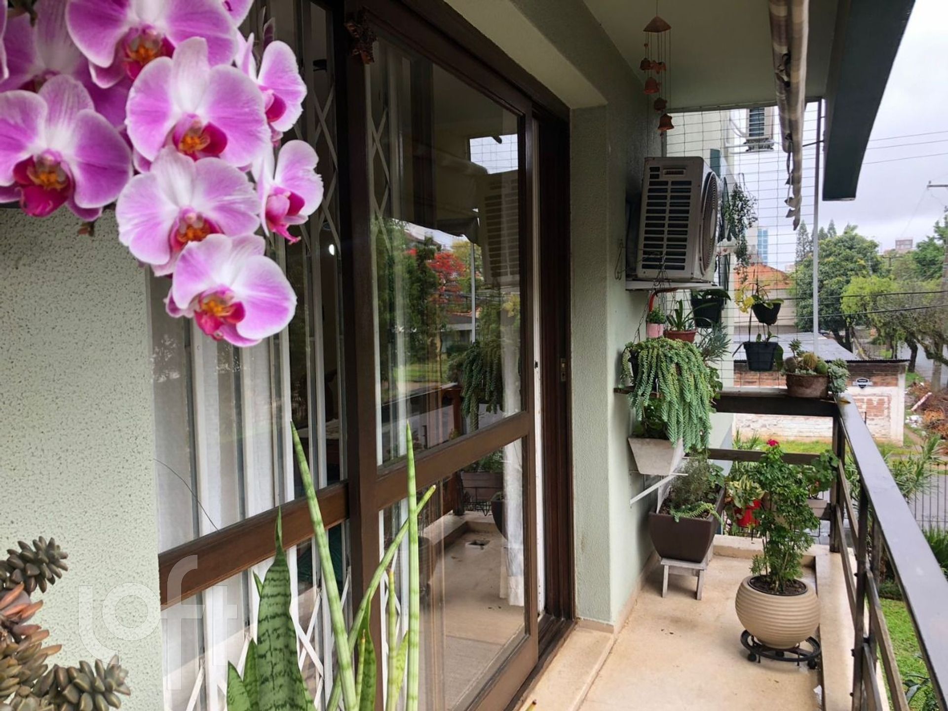 Imagem da propriedade 16