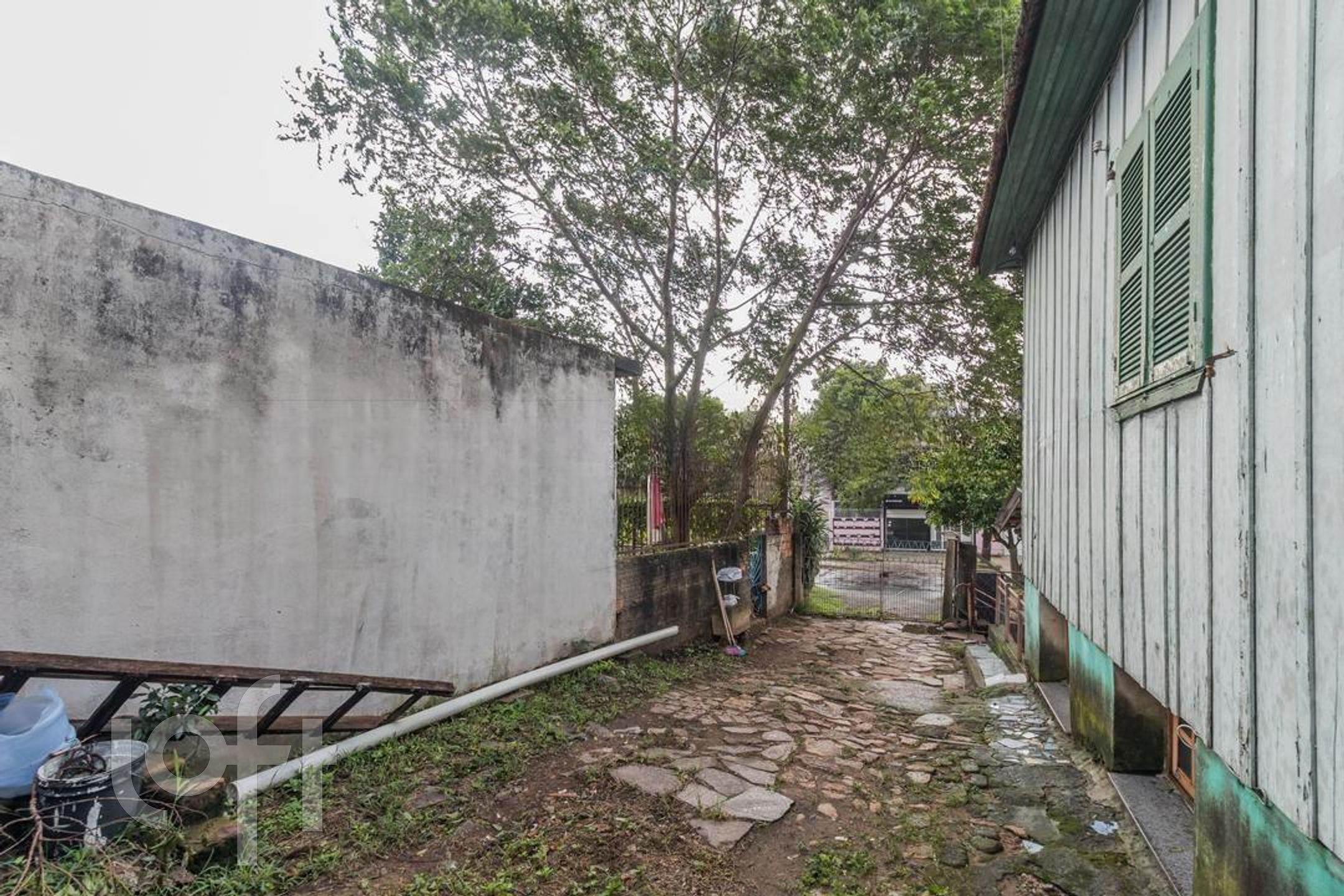 Imagem da propriedade 19