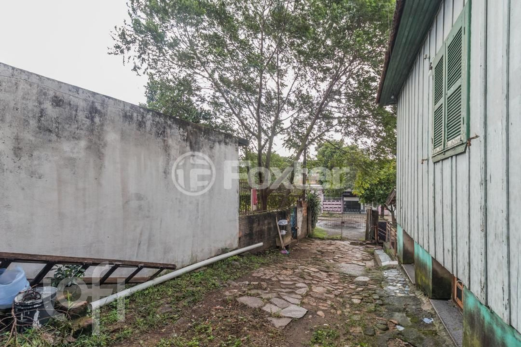 Imagem da propriedade 19