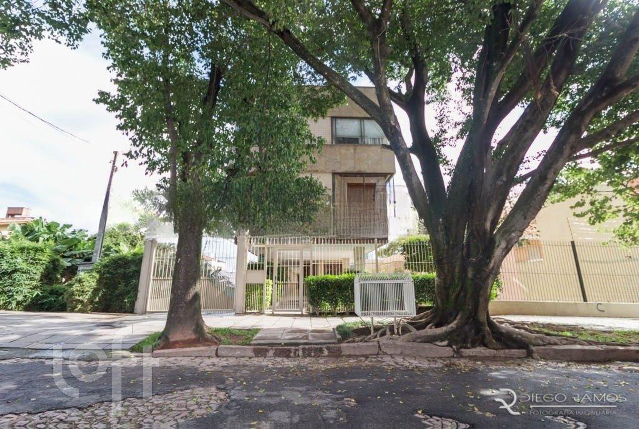 Imagem da propriedade 9