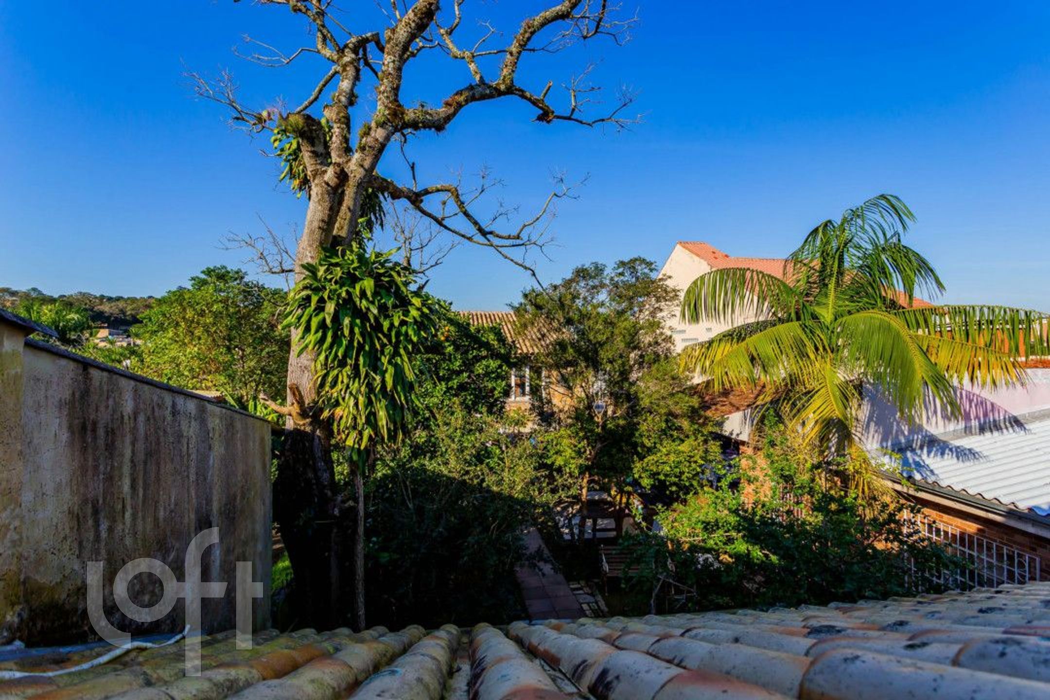 Imagem da propriedade 39