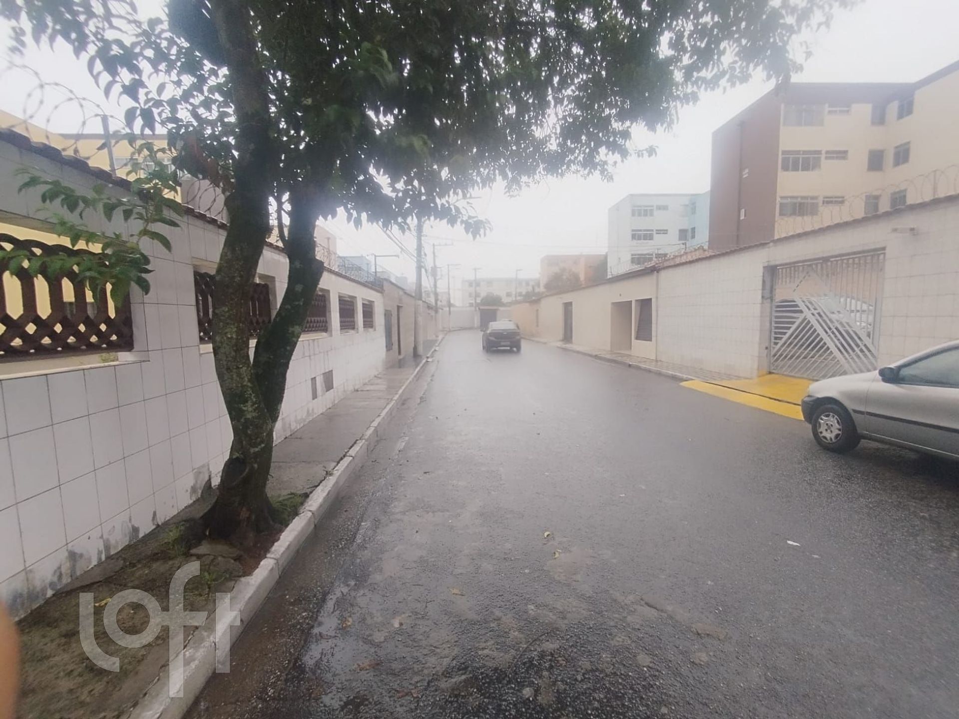 Imagem da propriedade 18