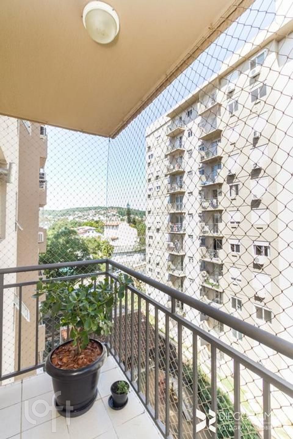 Imagem da propriedade 7