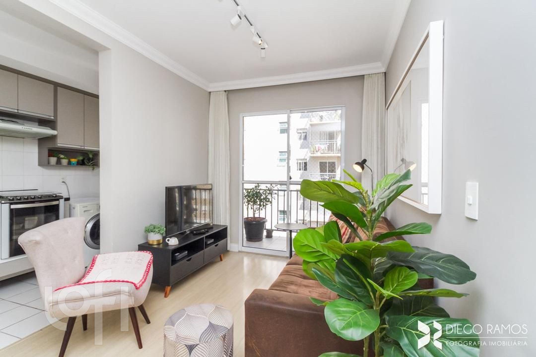 Imagem da propriedade 5