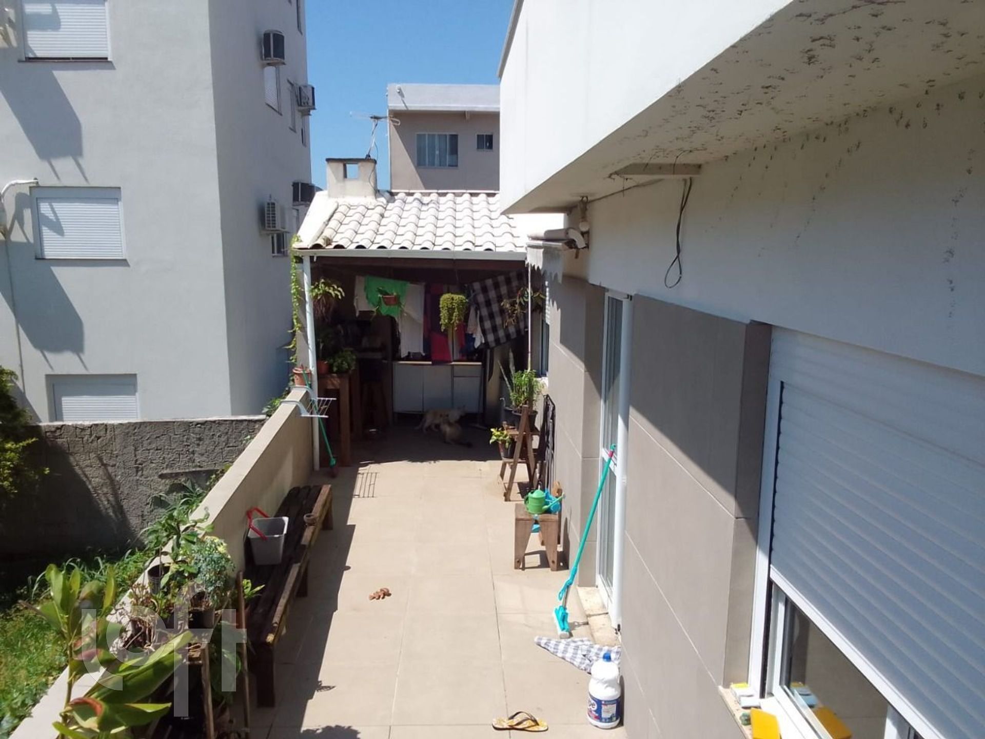 Imagem da propriedade 7