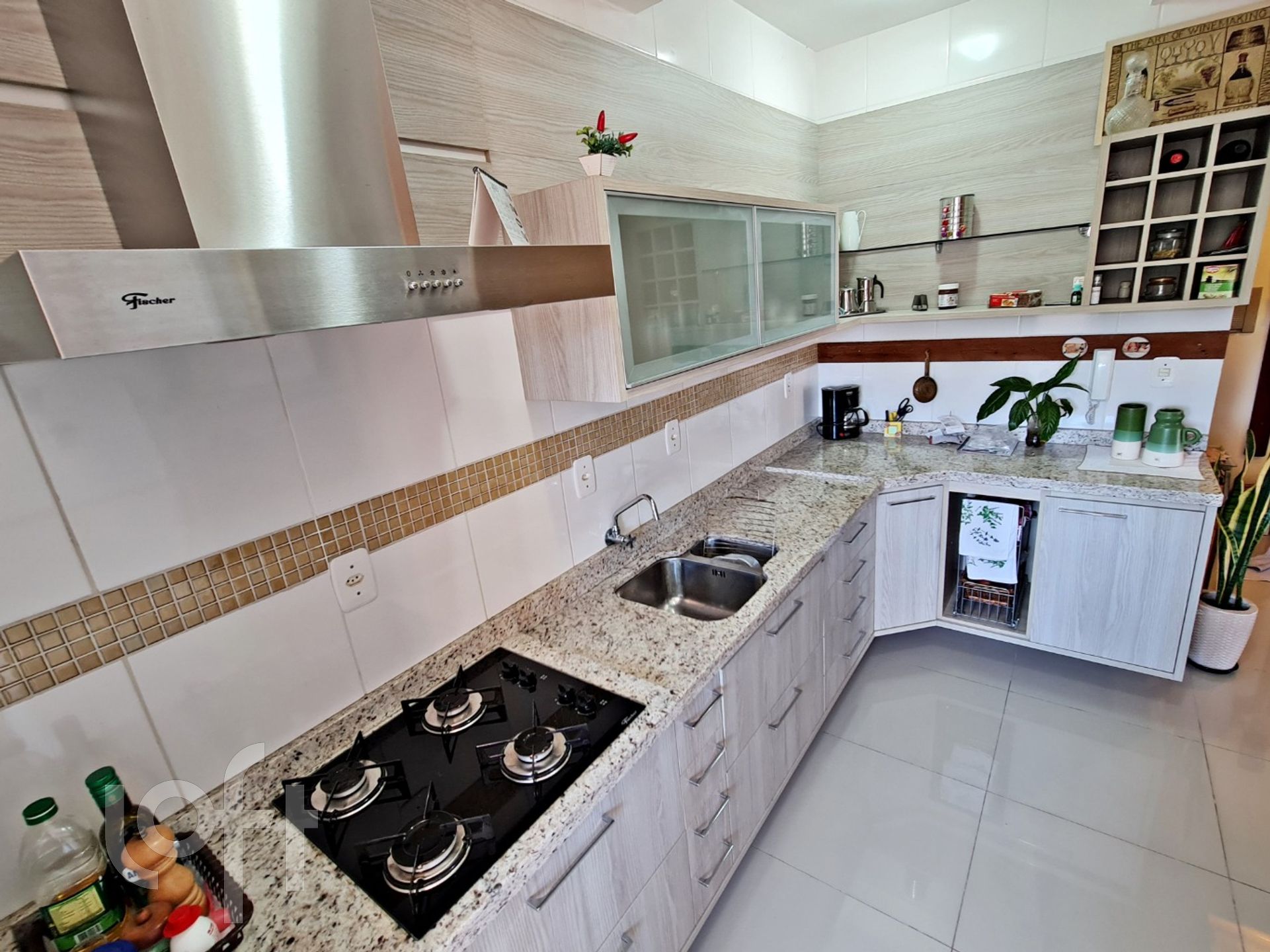 Imagem da propriedade 6