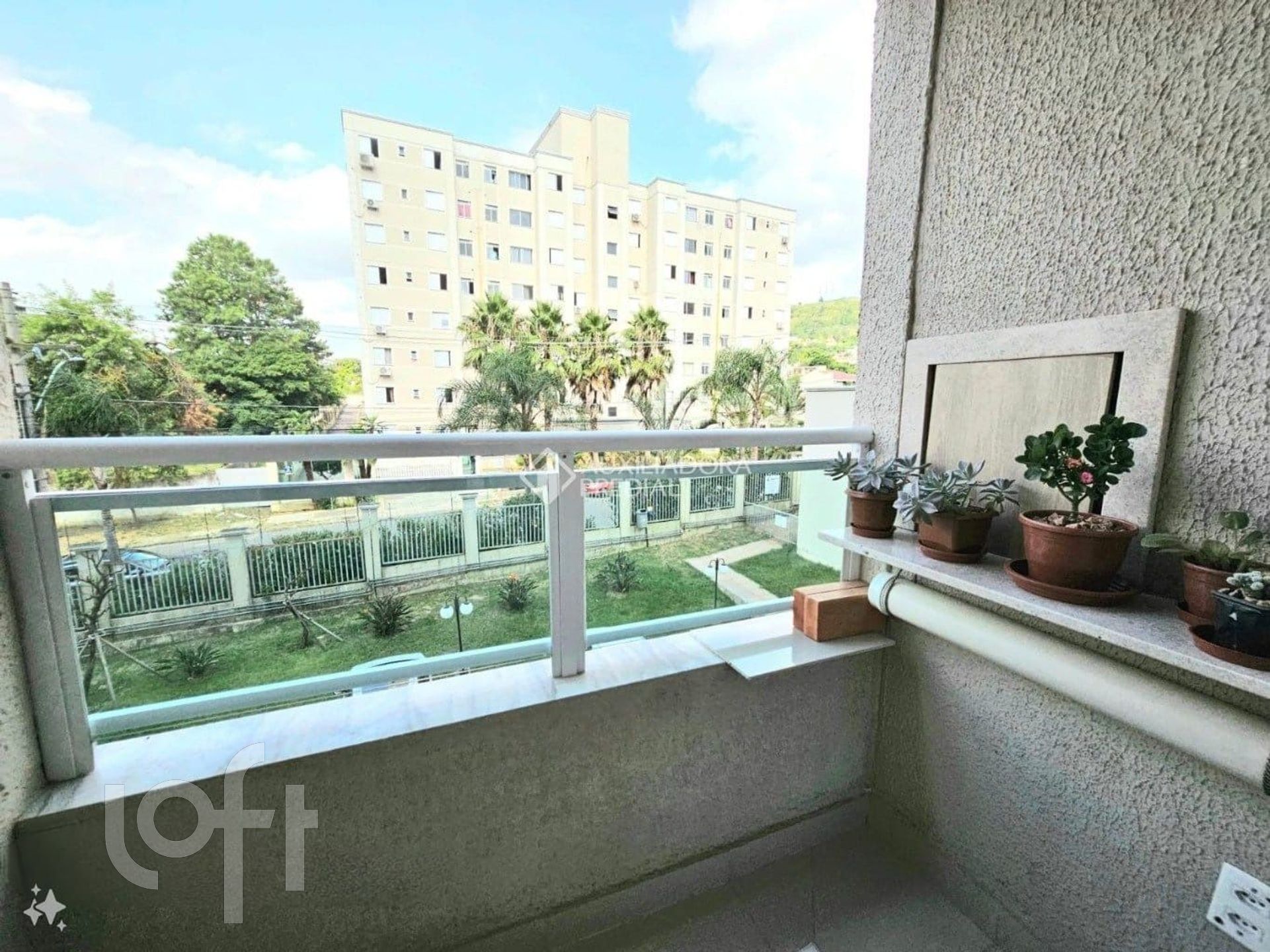 Imagem da propriedade 3