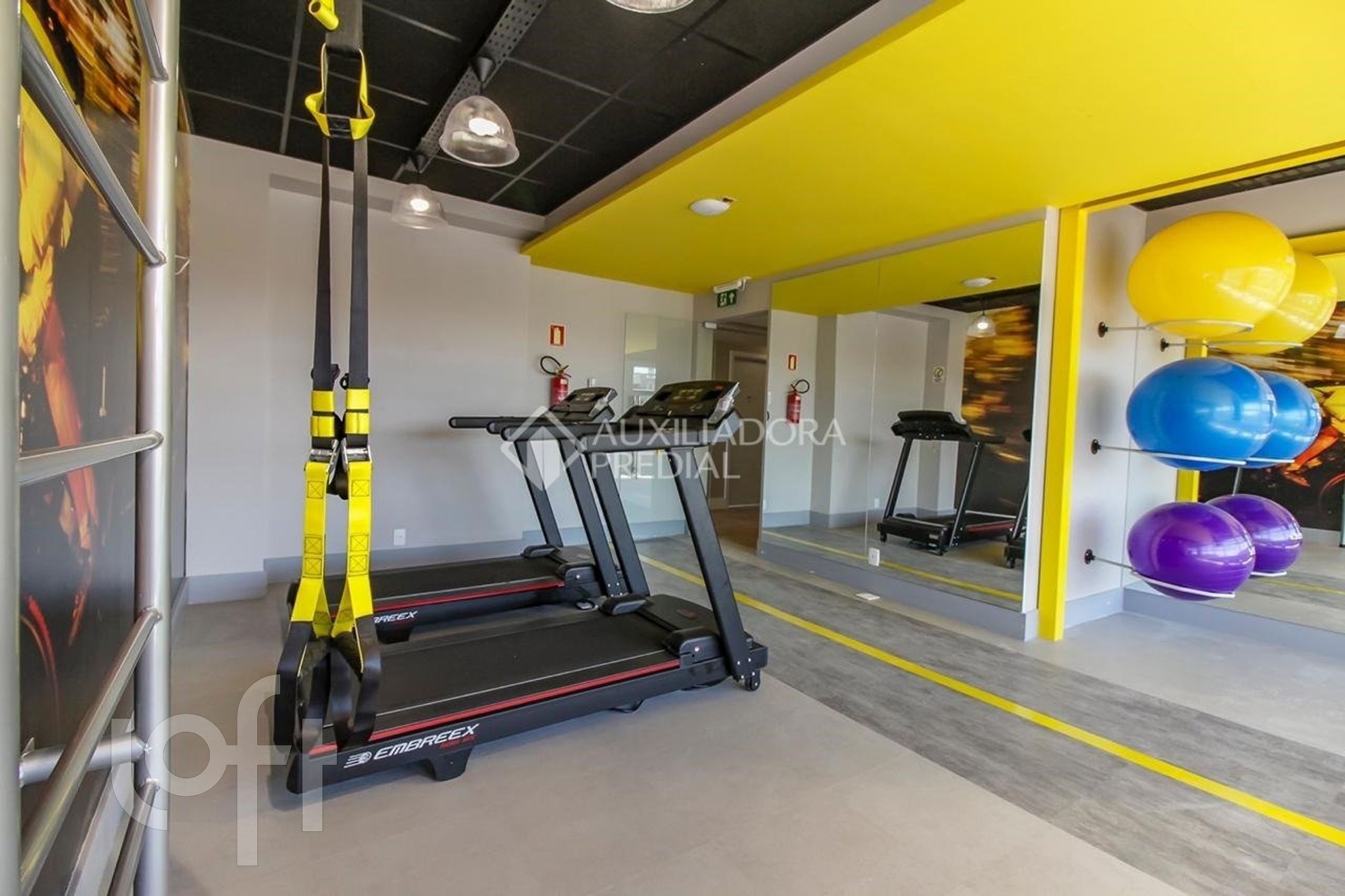 Imagem da propriedade 29