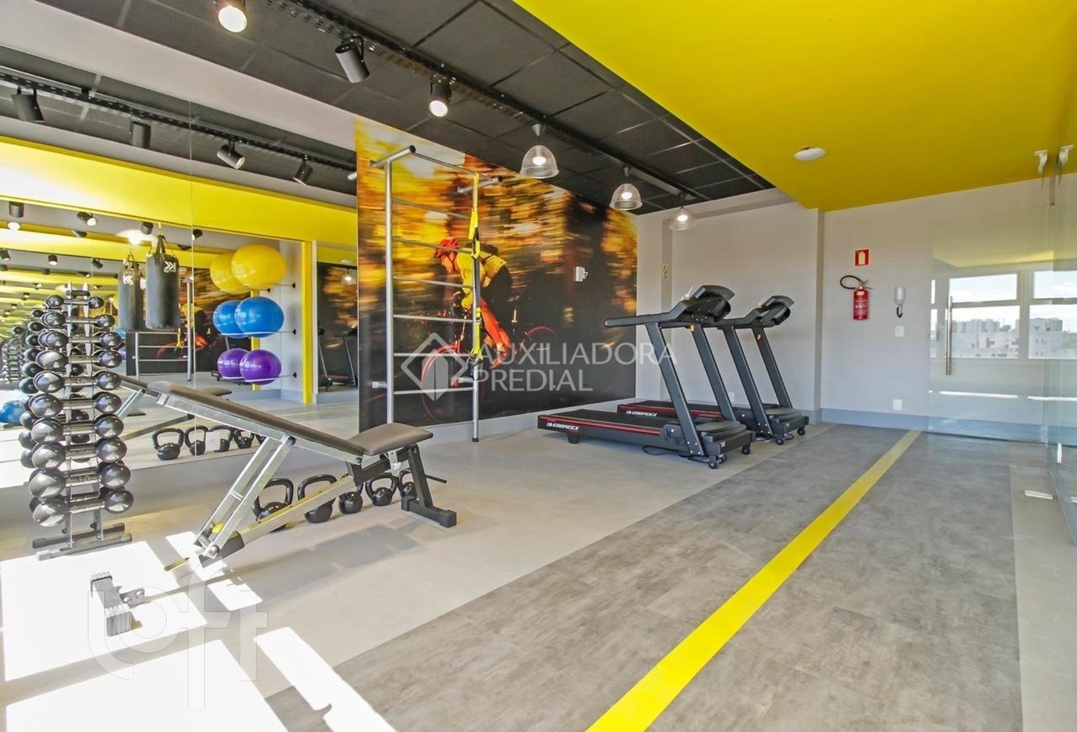 Imagem da propriedade 26