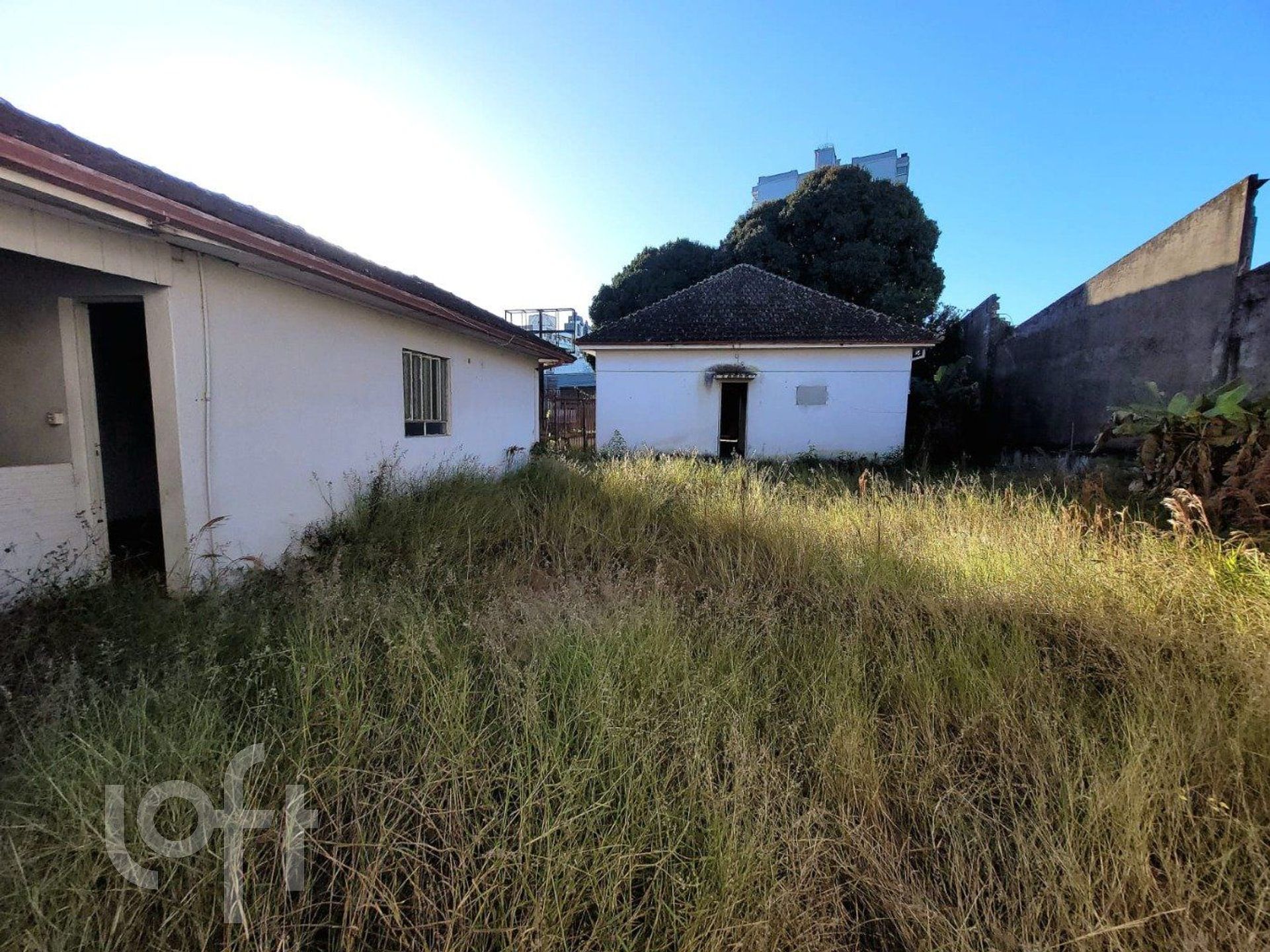 Imagem da propriedade 21