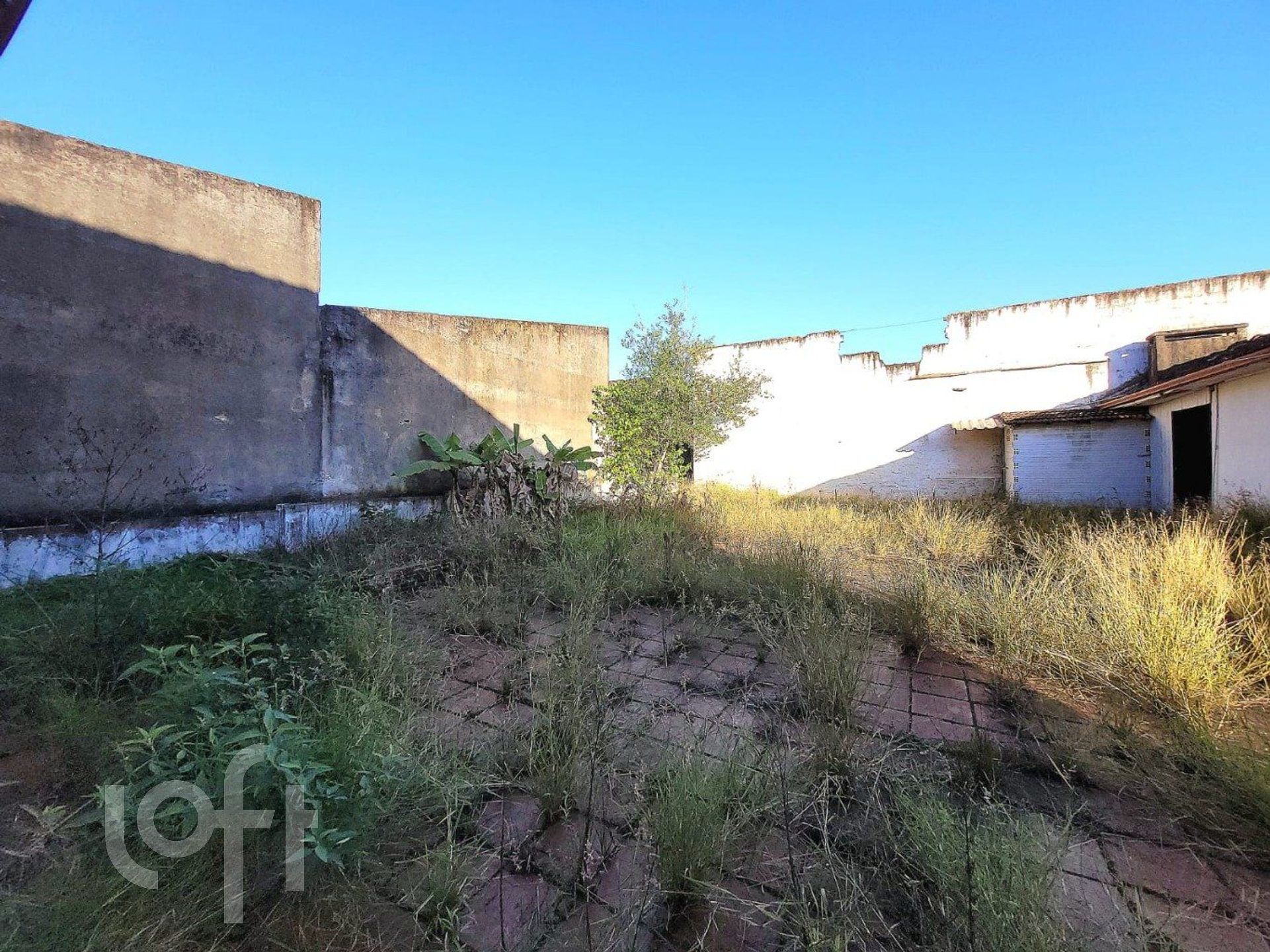 Imagem da propriedade 10