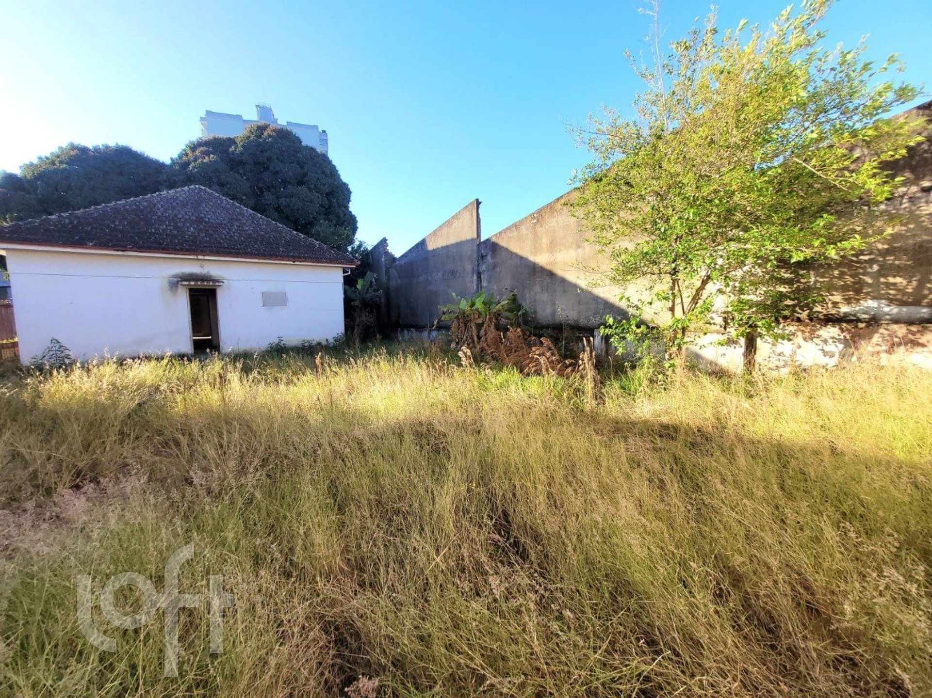 Imagem da propriedade 13