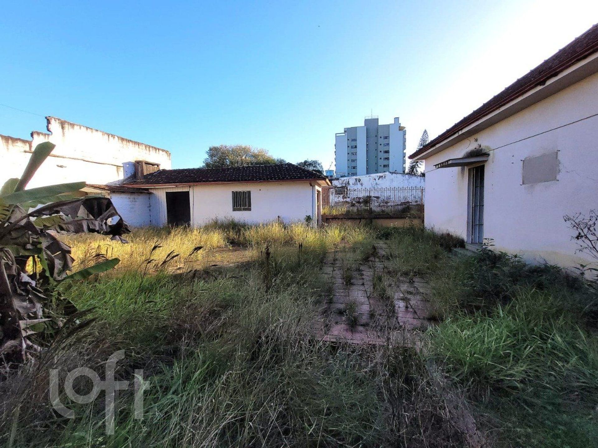 Imagem da propriedade 24