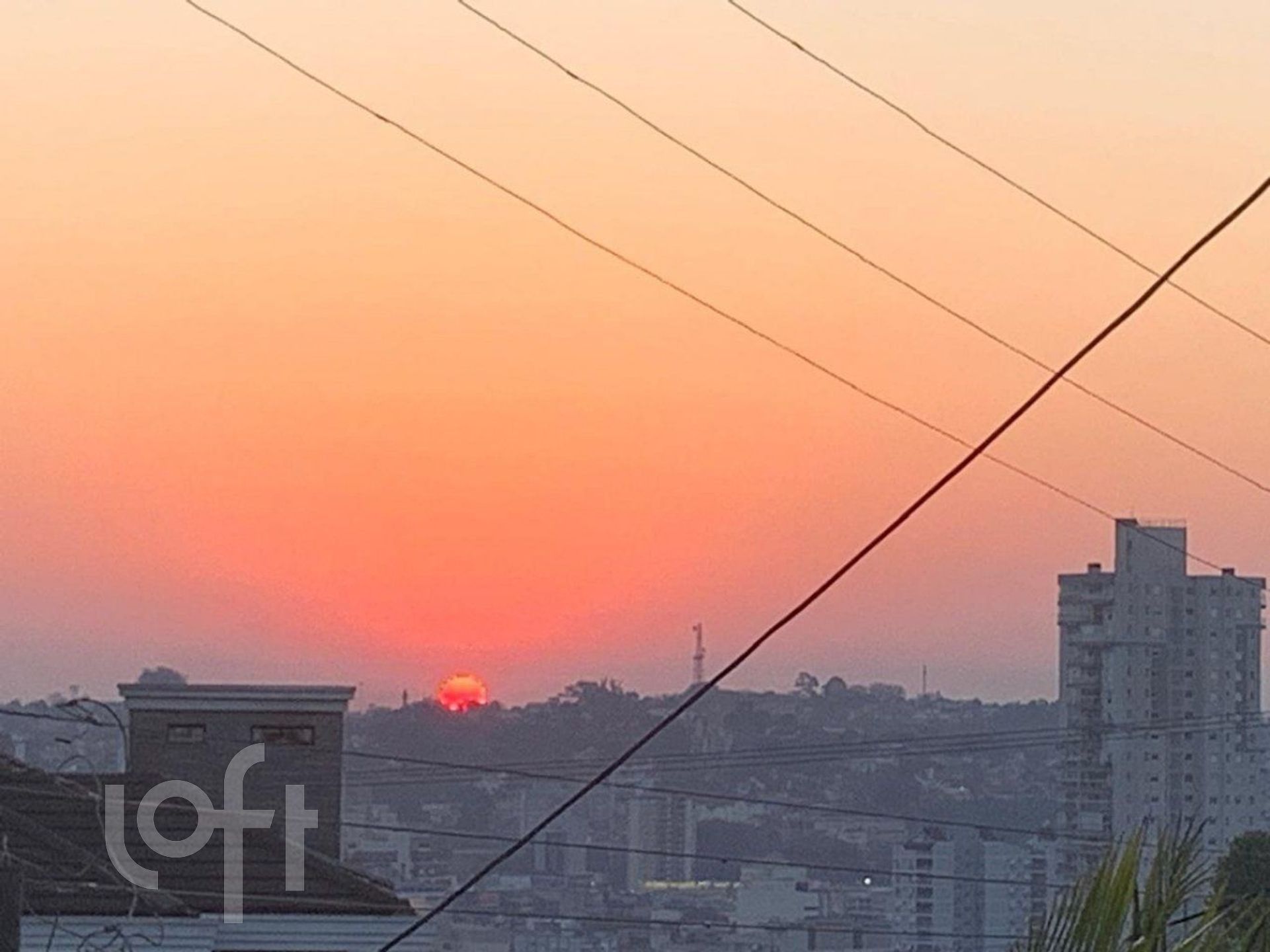 Imagem da propriedade 11