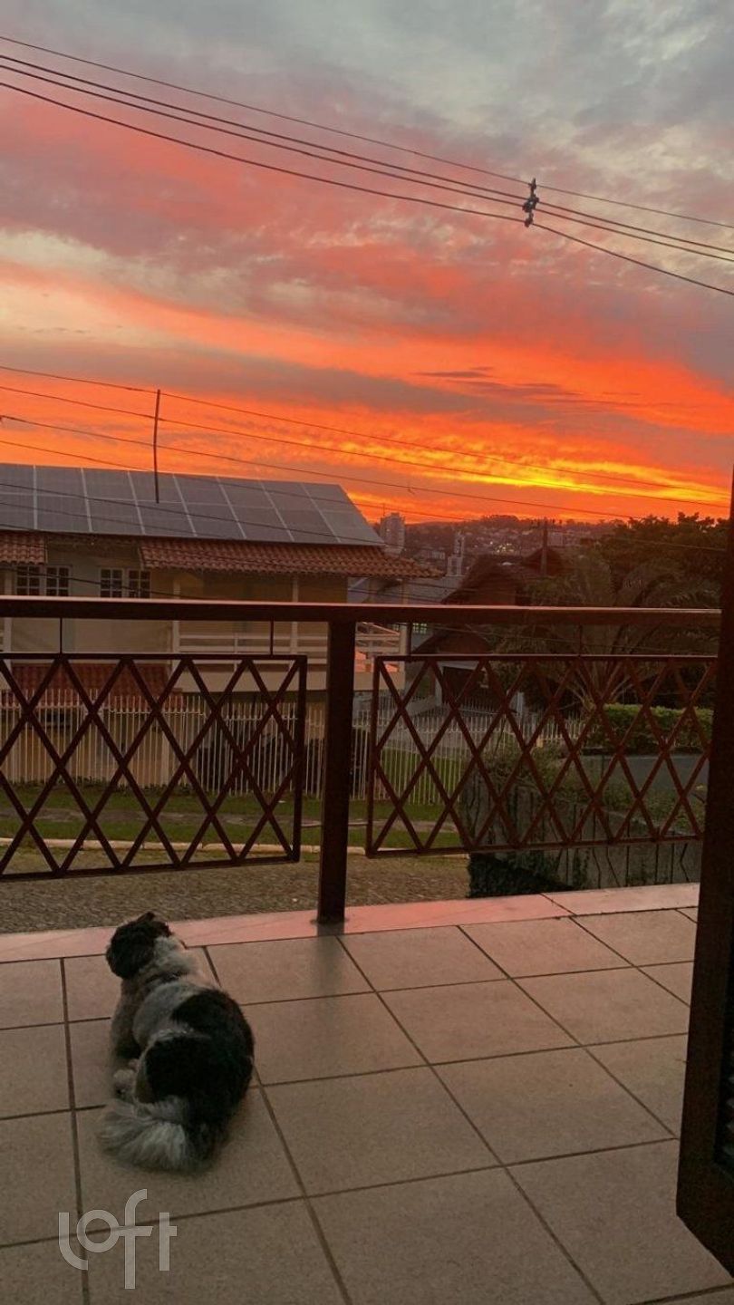 Imagem da propriedade 7