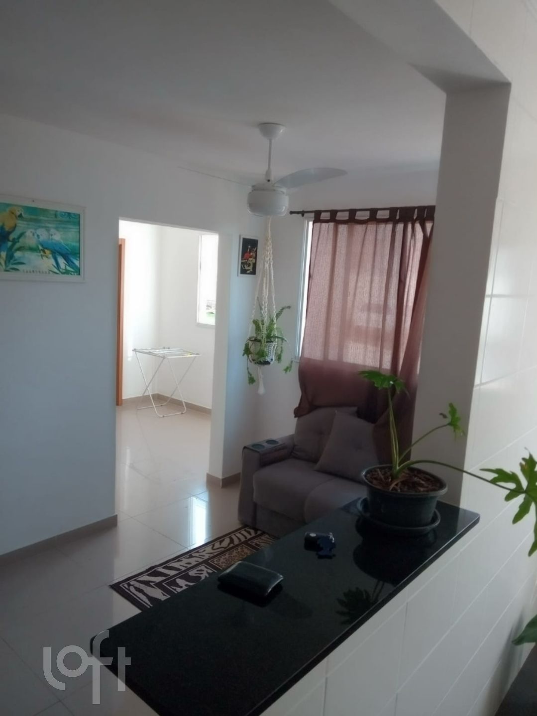 Imagem da propriedade 7