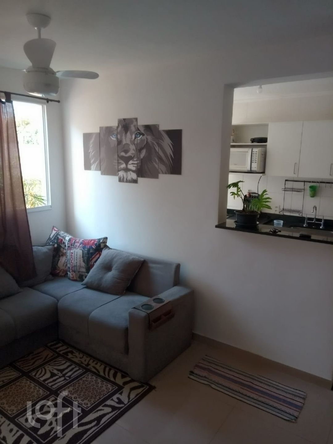 Imagem da propriedade 5