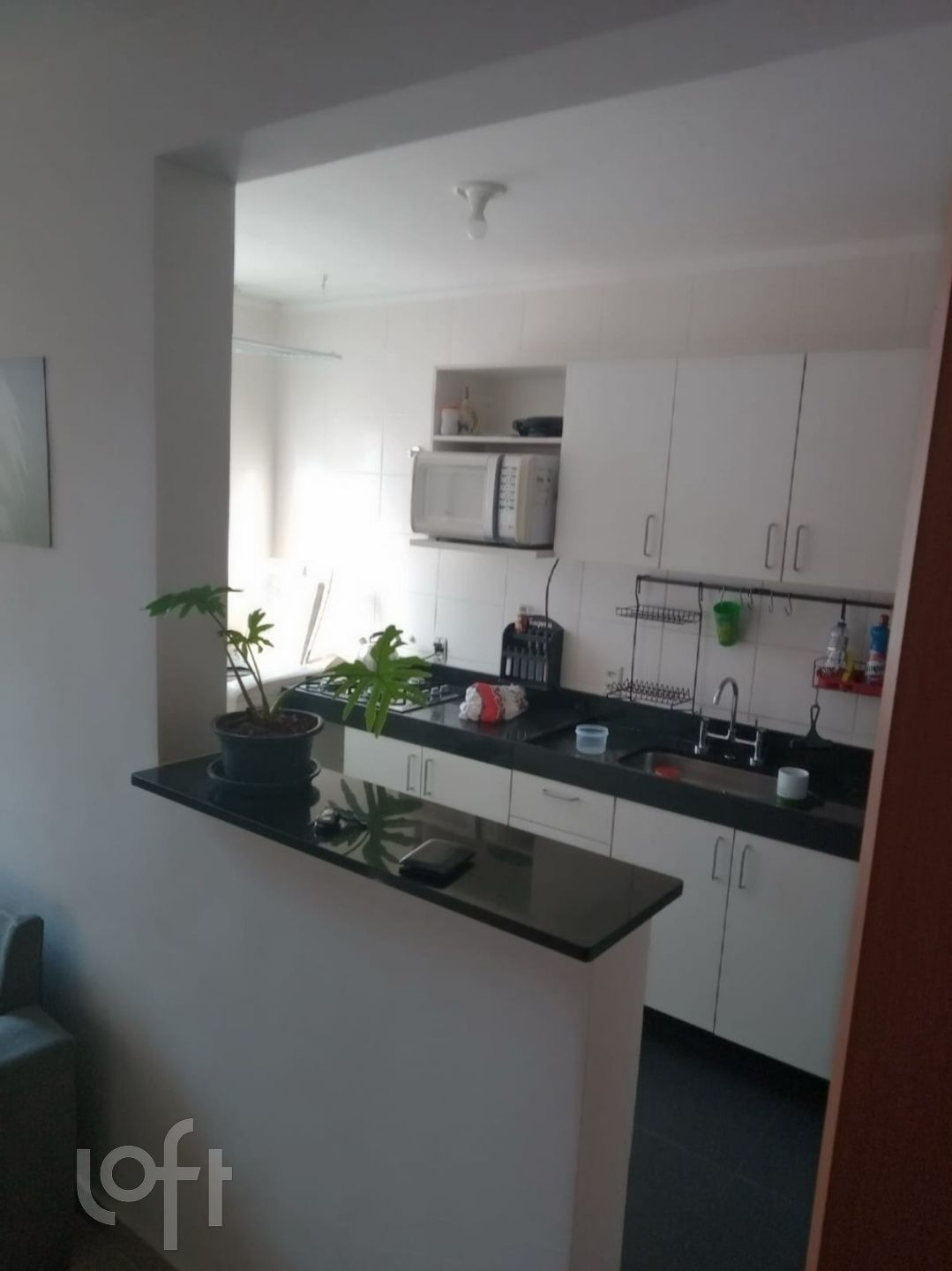 Imagem da propriedade 8