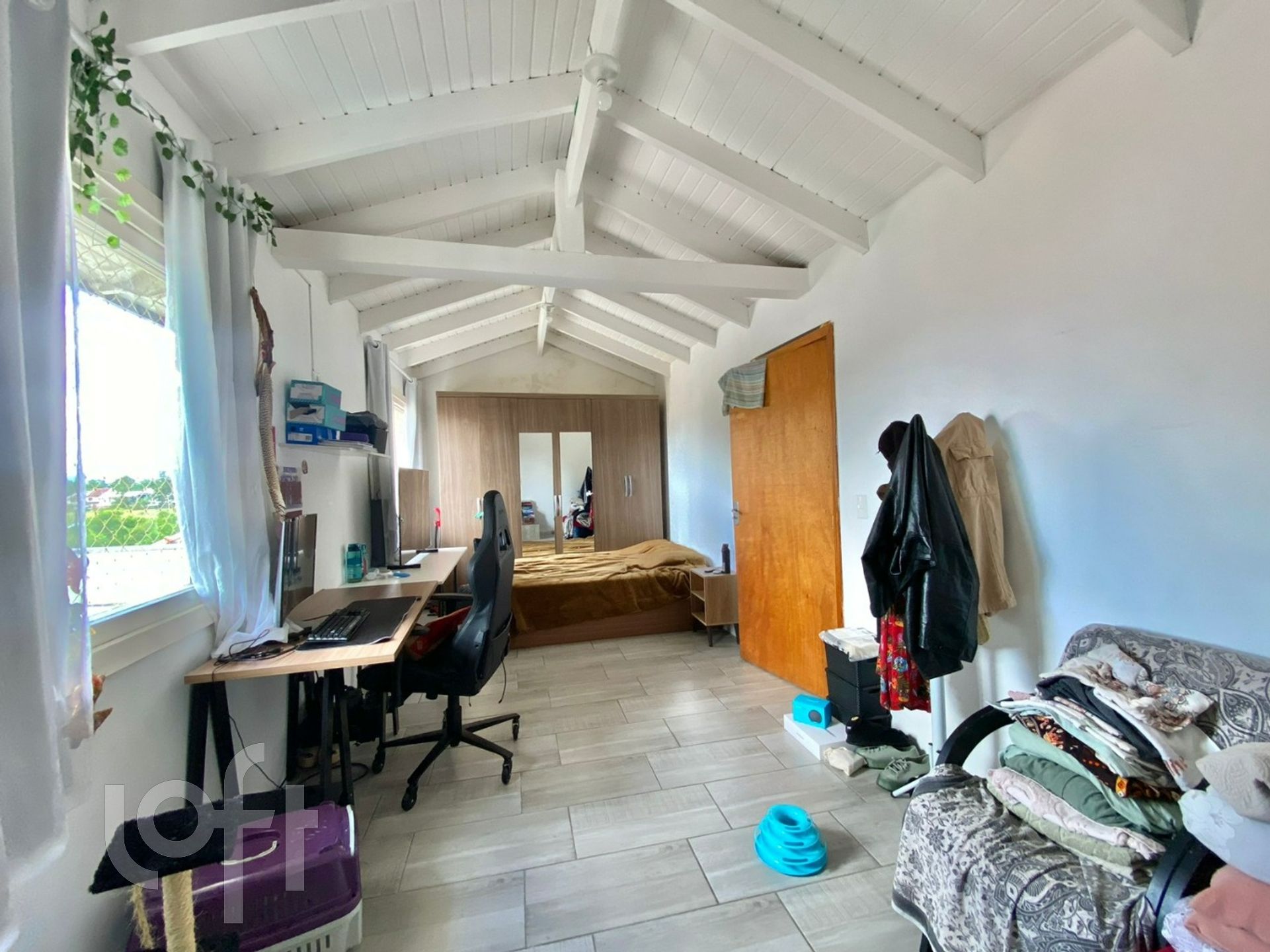 Imagem da propriedade 5