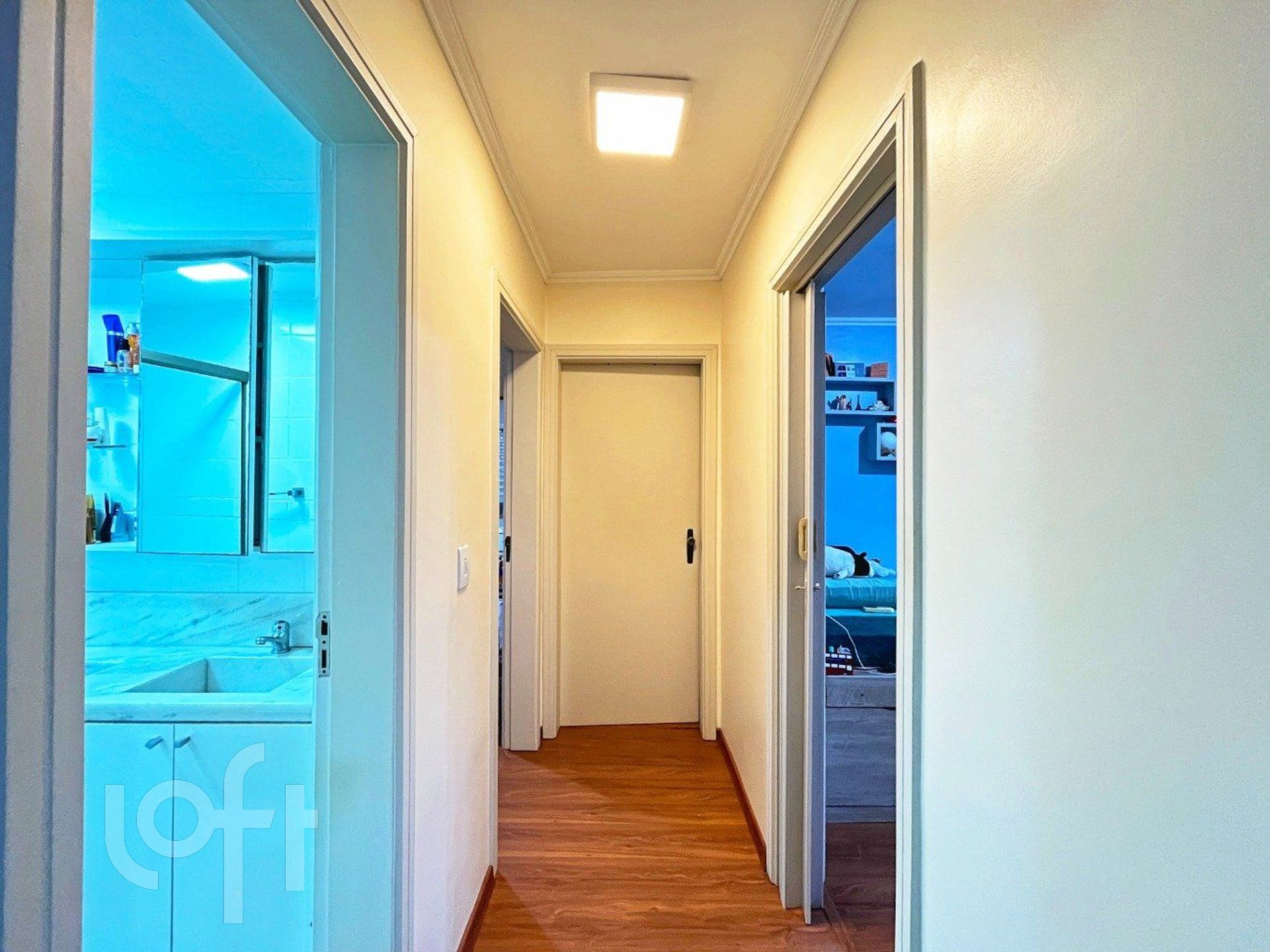 Imagem da propriedade 18