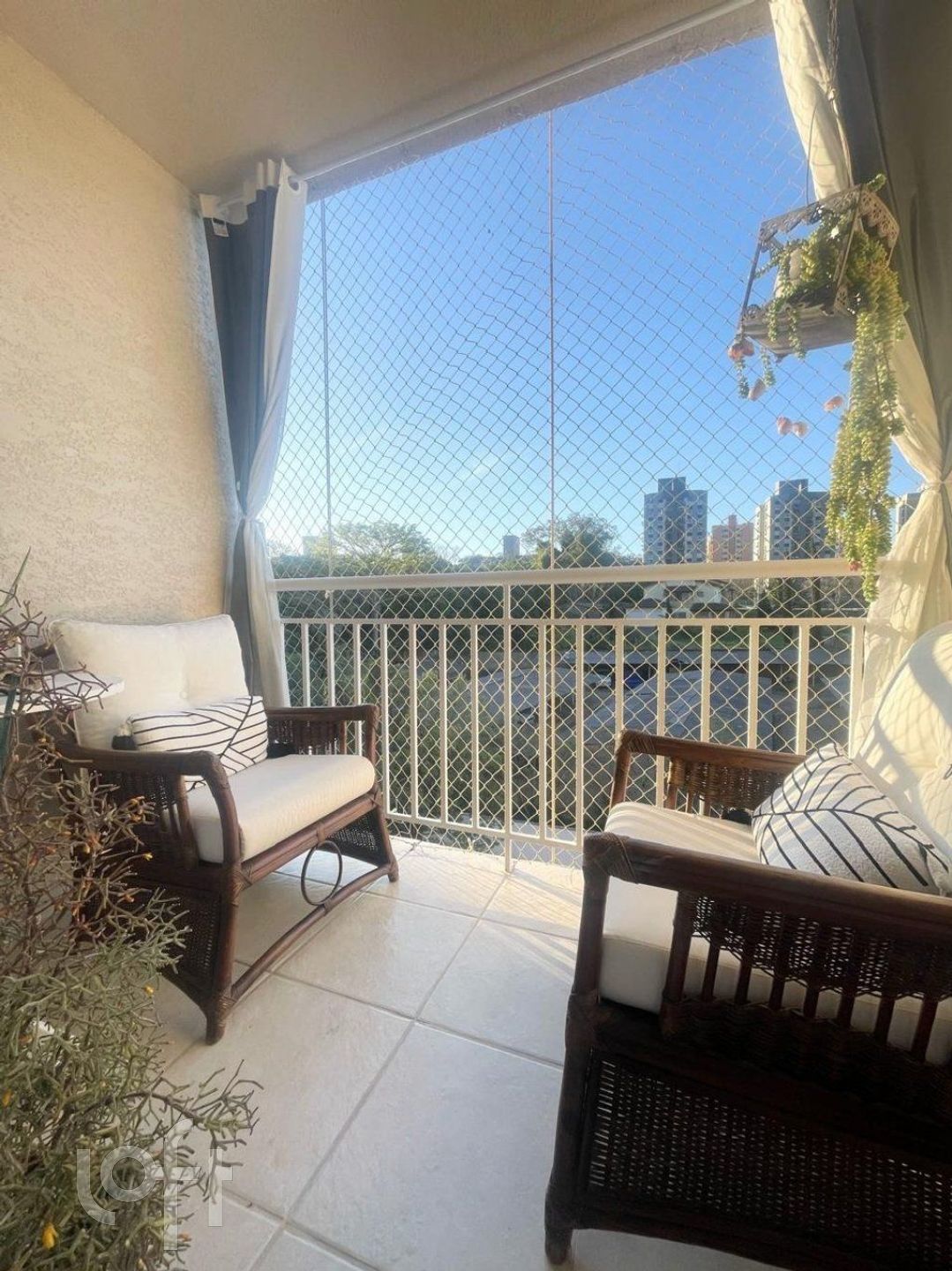 Imagem da propriedade 6