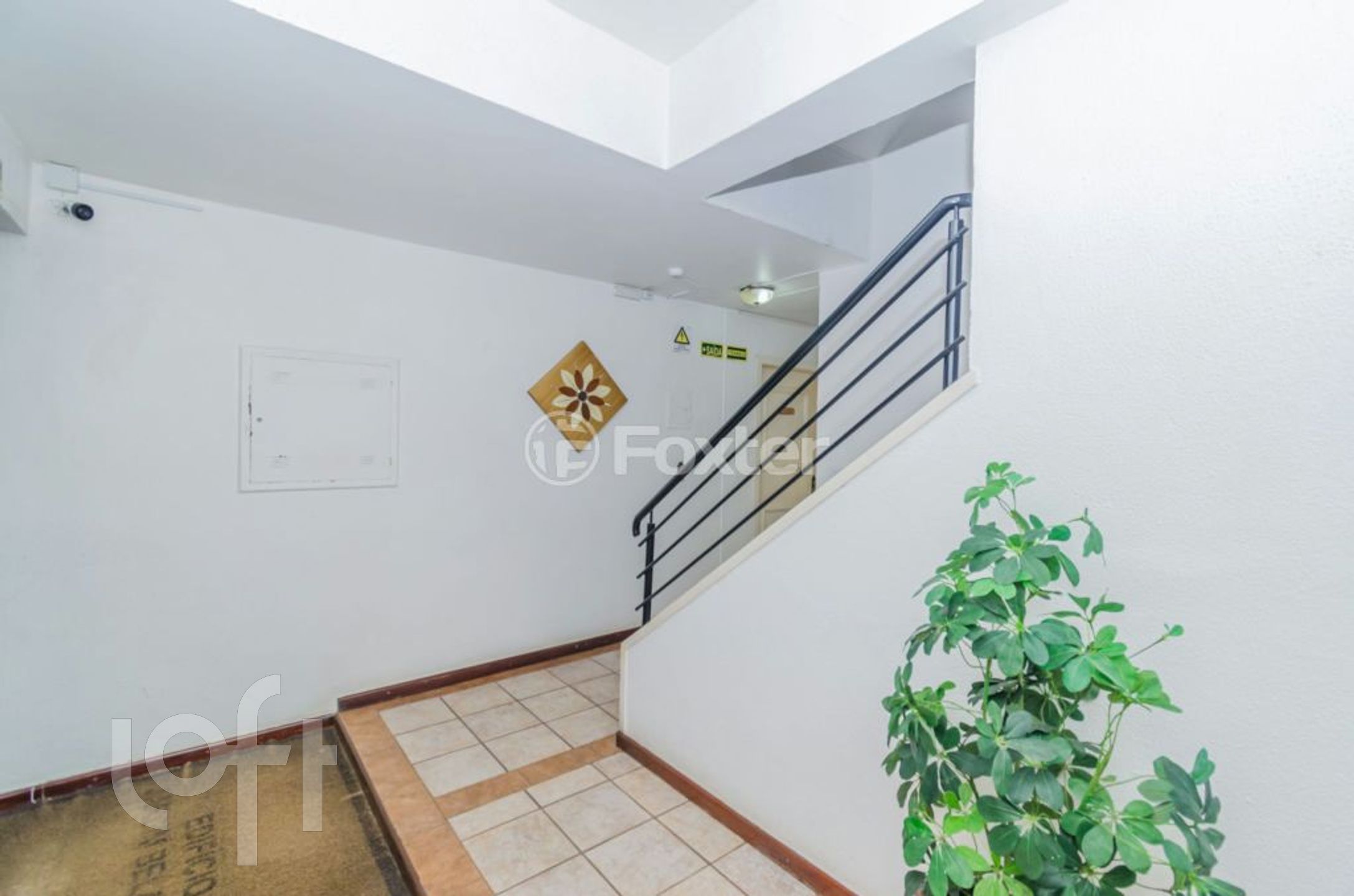 Imagem da propriedade 29