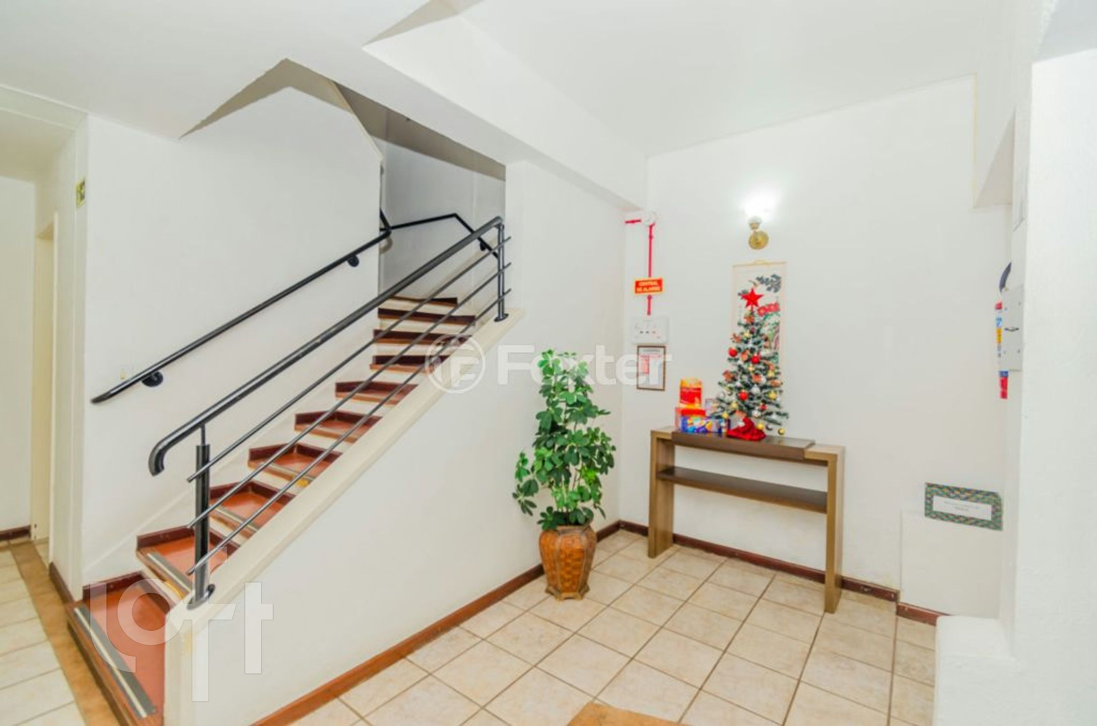 Imagem da propriedade 28