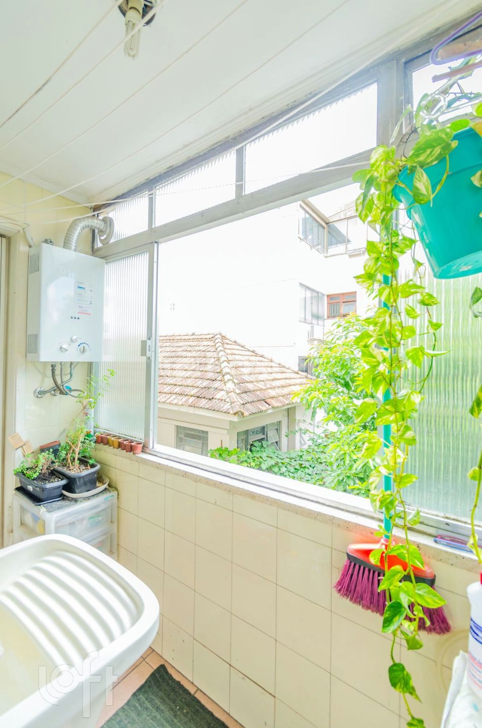 Imagem da propriedade 21