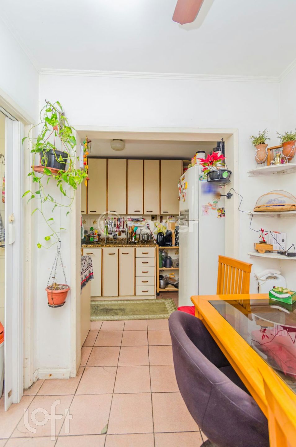 Imagem da propriedade 13