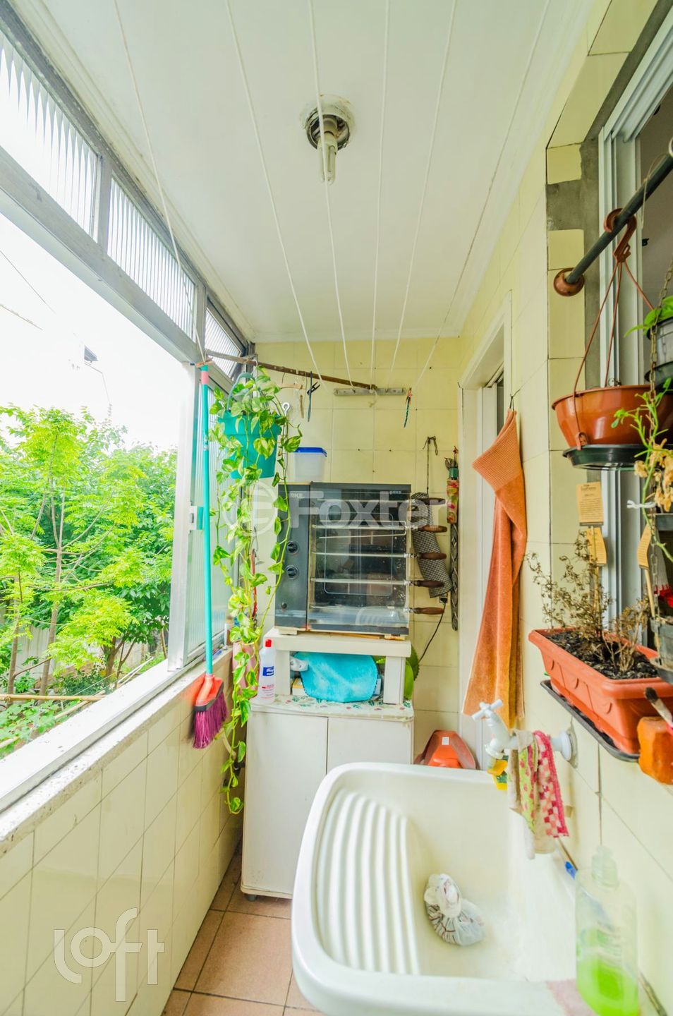 Imagem da propriedade 23