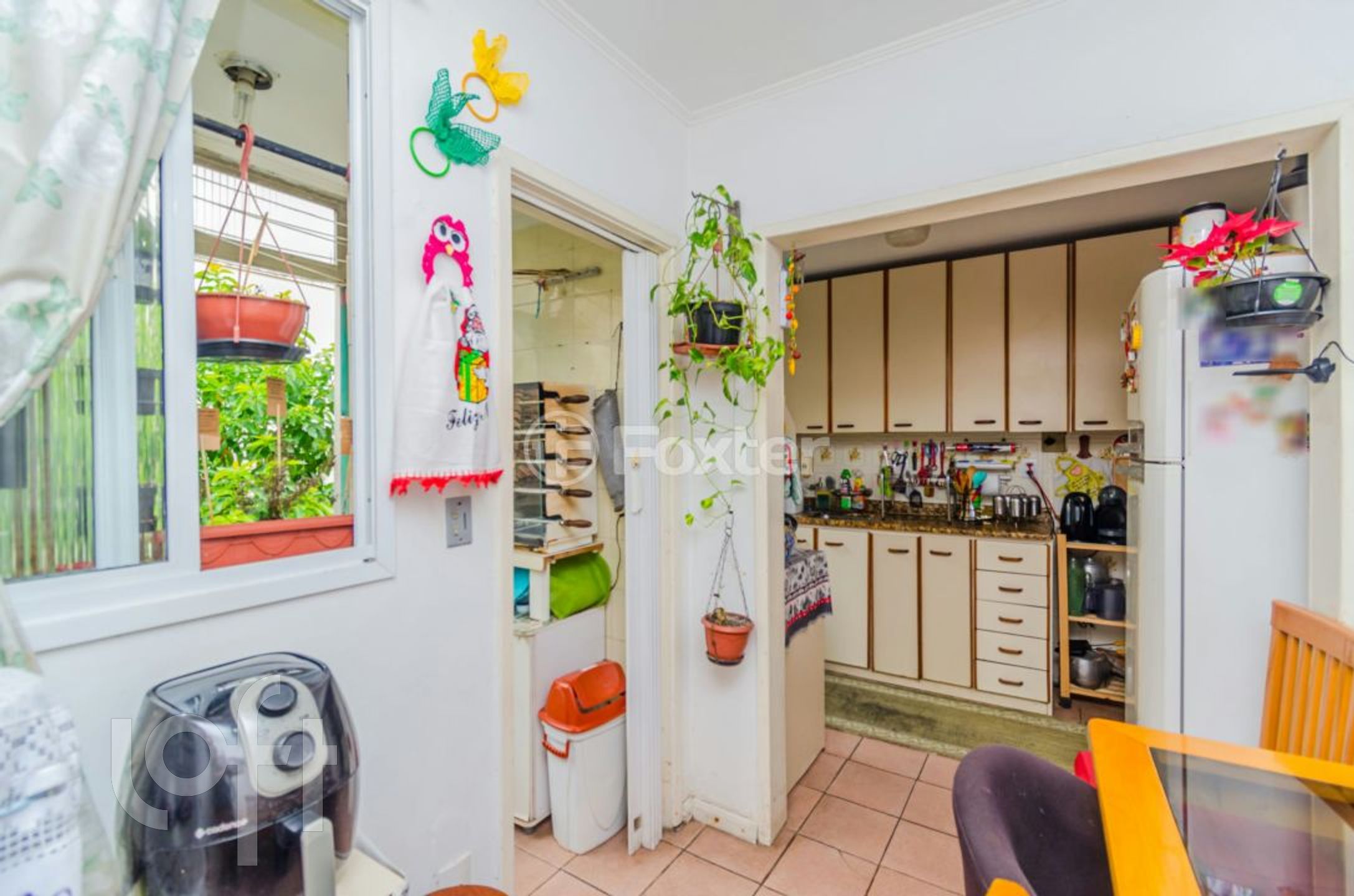 Imagem da propriedade 18